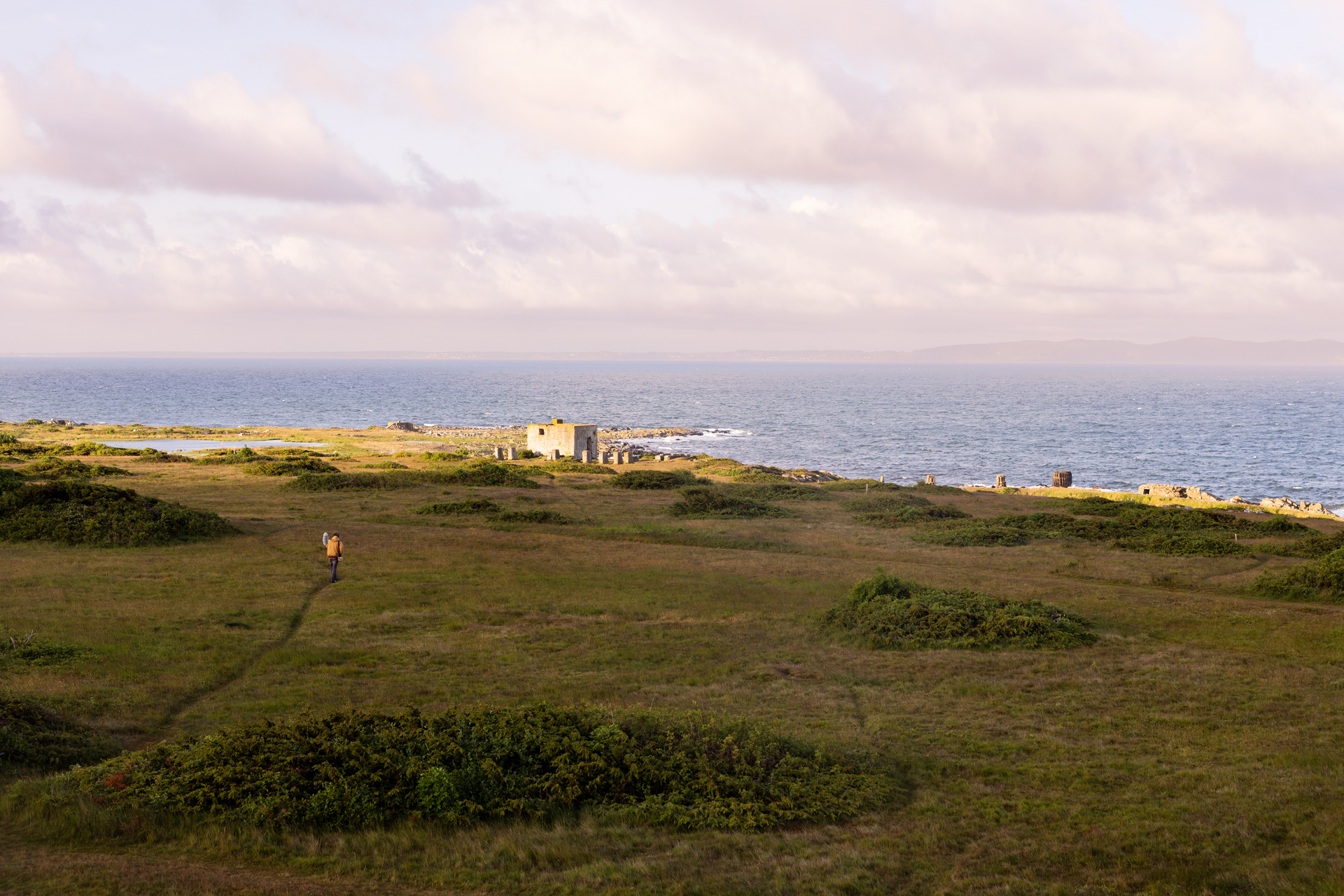 A person walking on a grassy hill near the ocean.