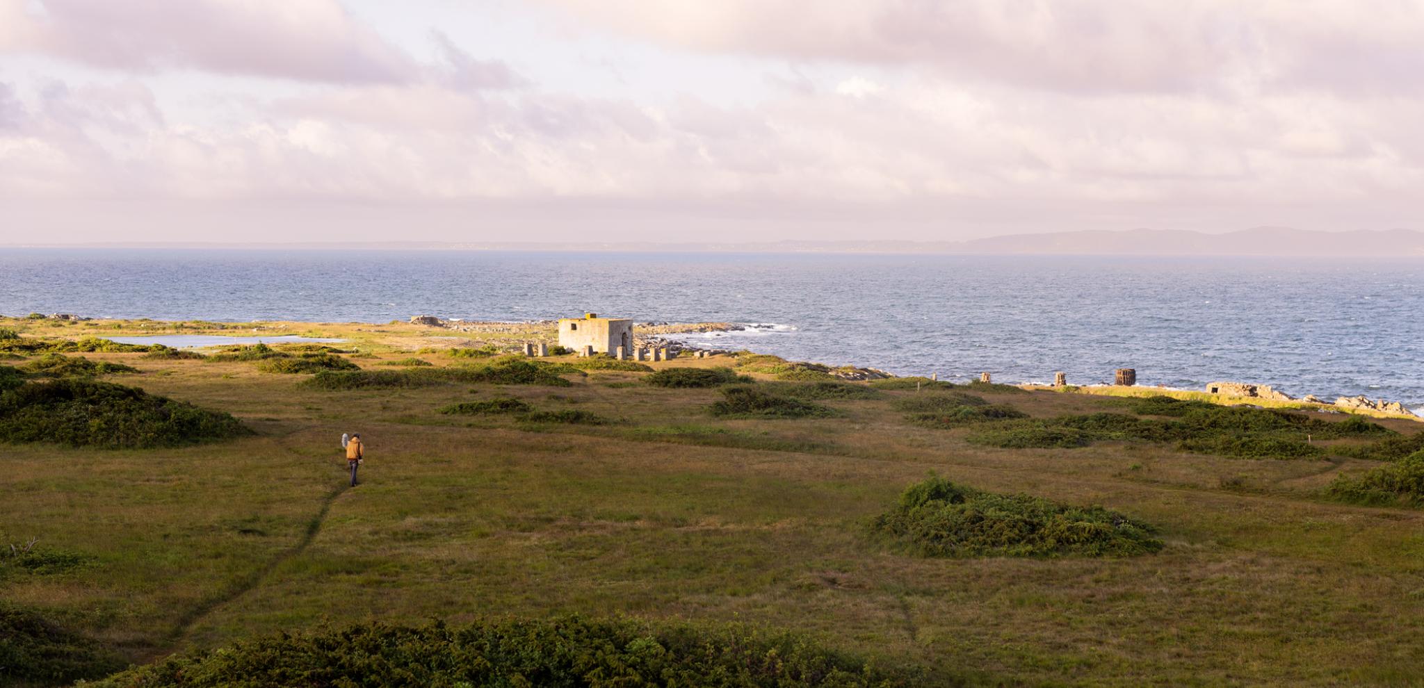 A person walking on a grassy hill near the ocean.