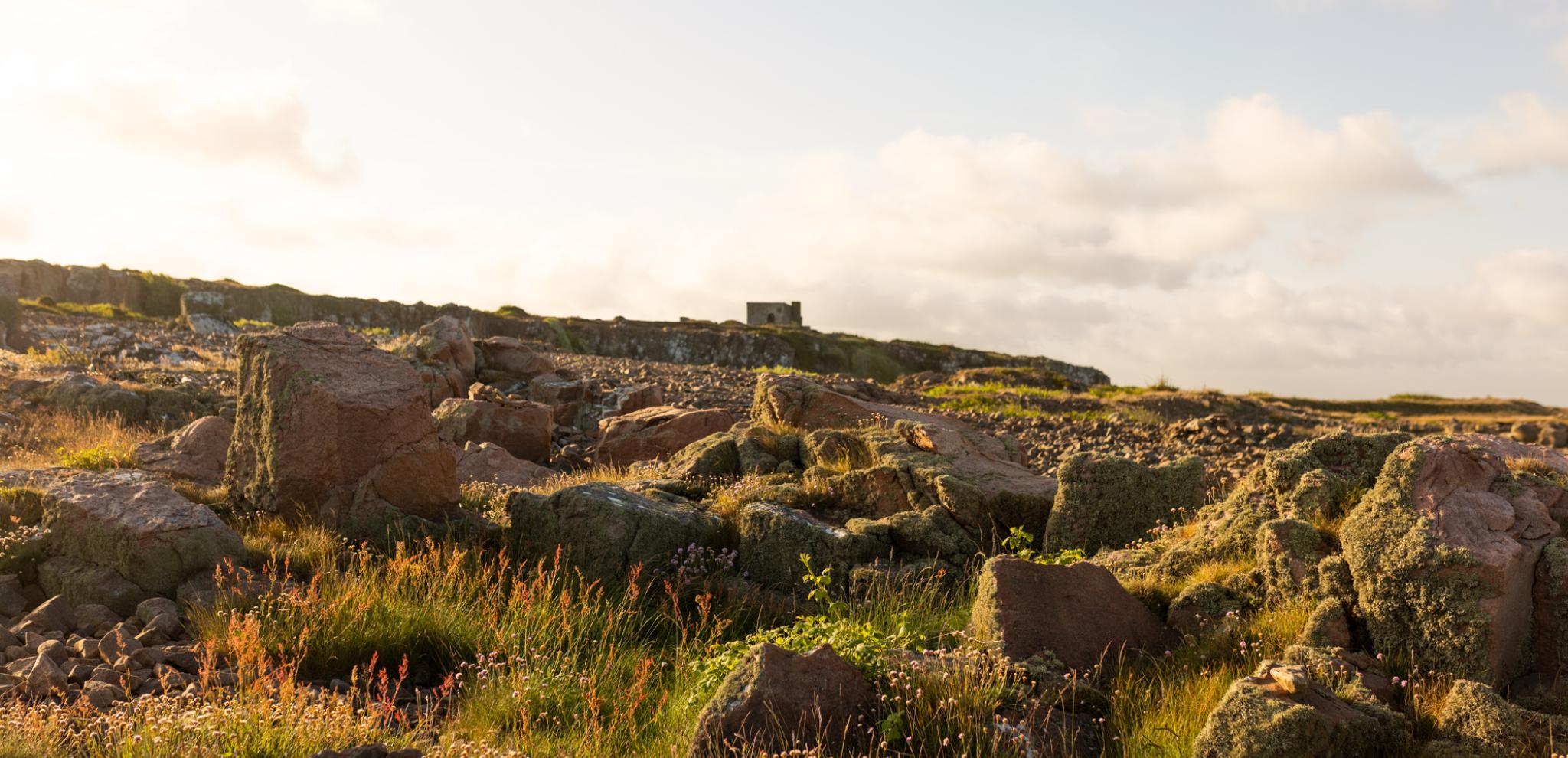 A rocky field with grass and rocks in the foreground.