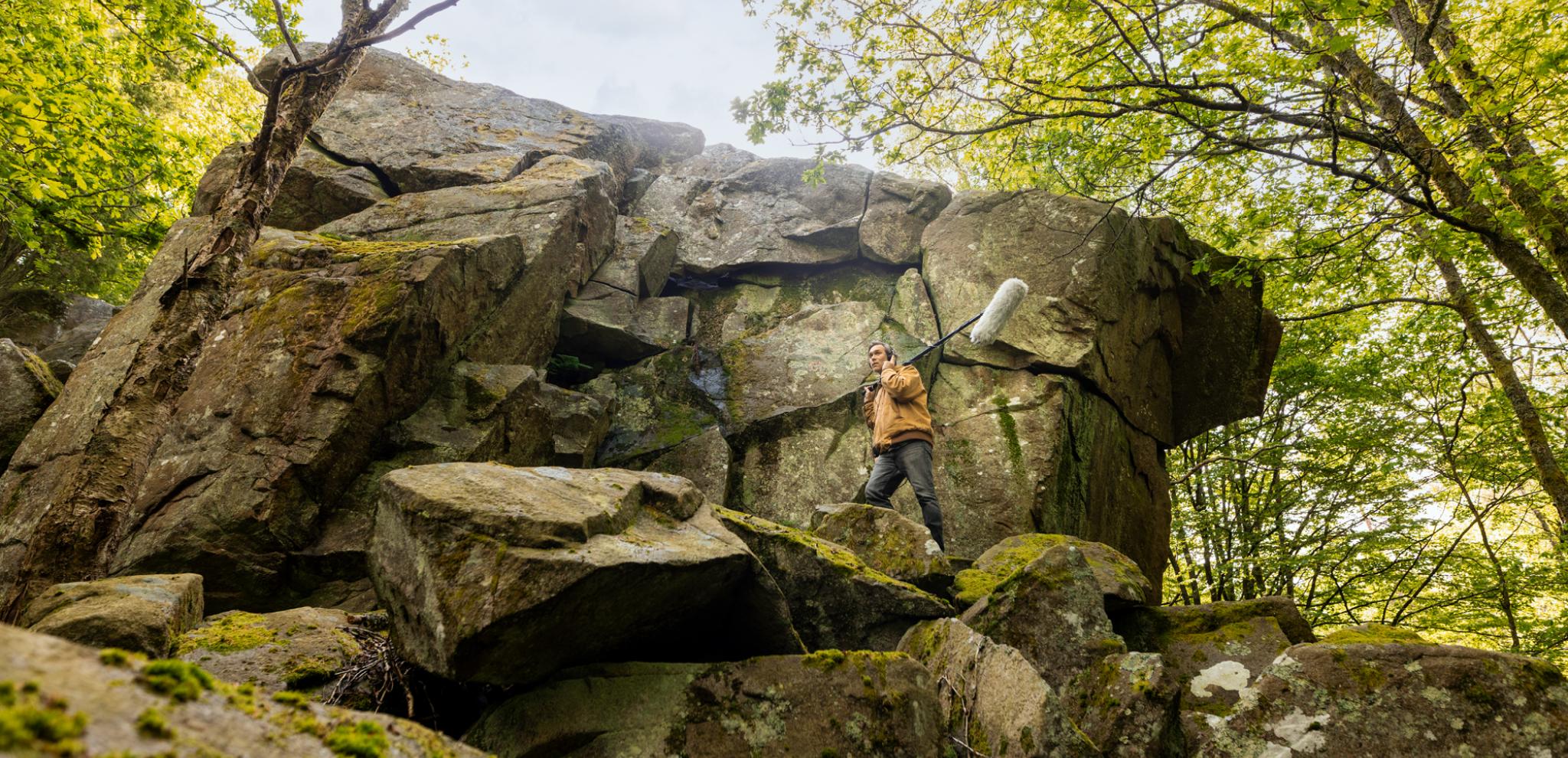 A person standing on a rock in the middle of a forest.