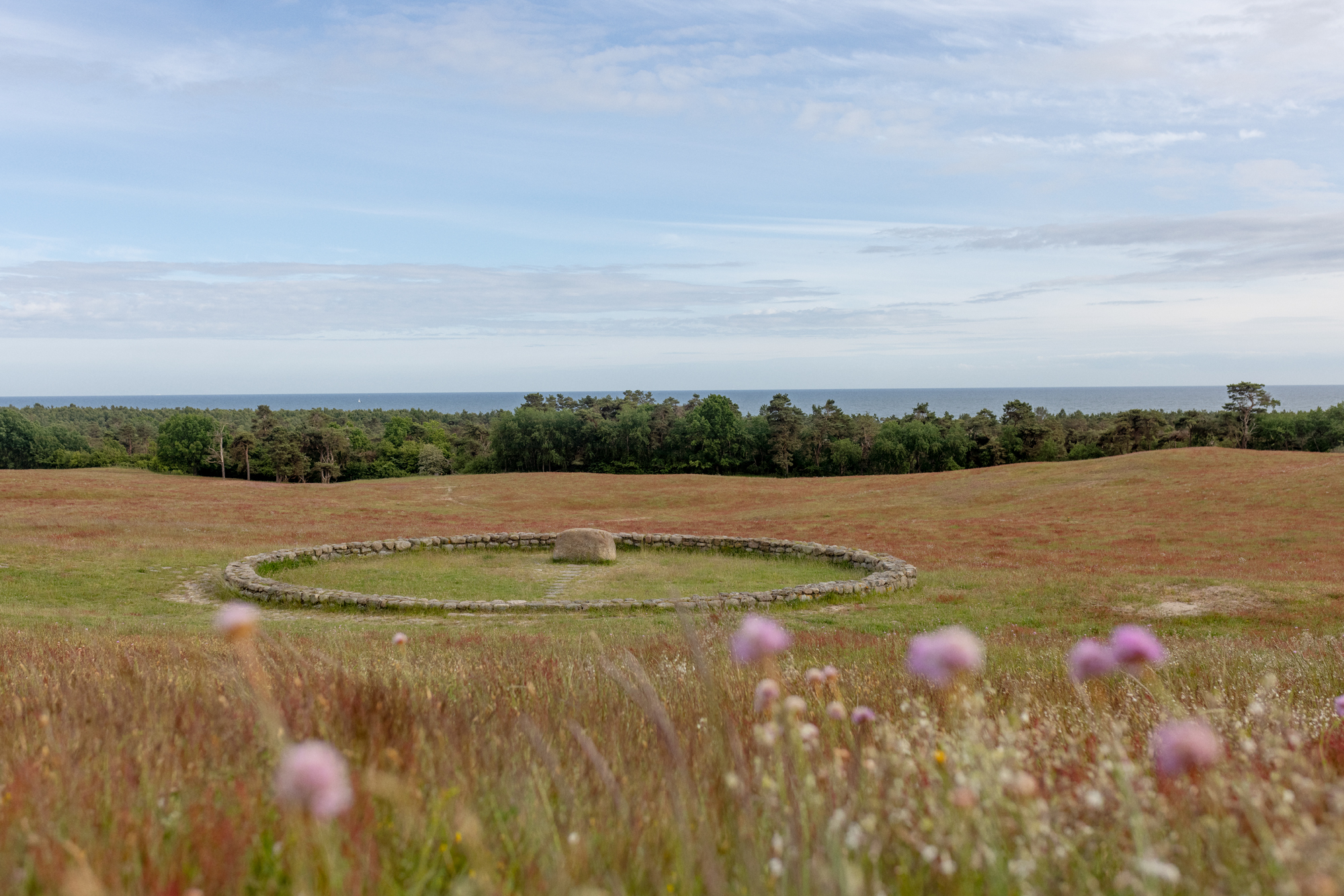 Meadow at Backåkra with the Meditation Ring
