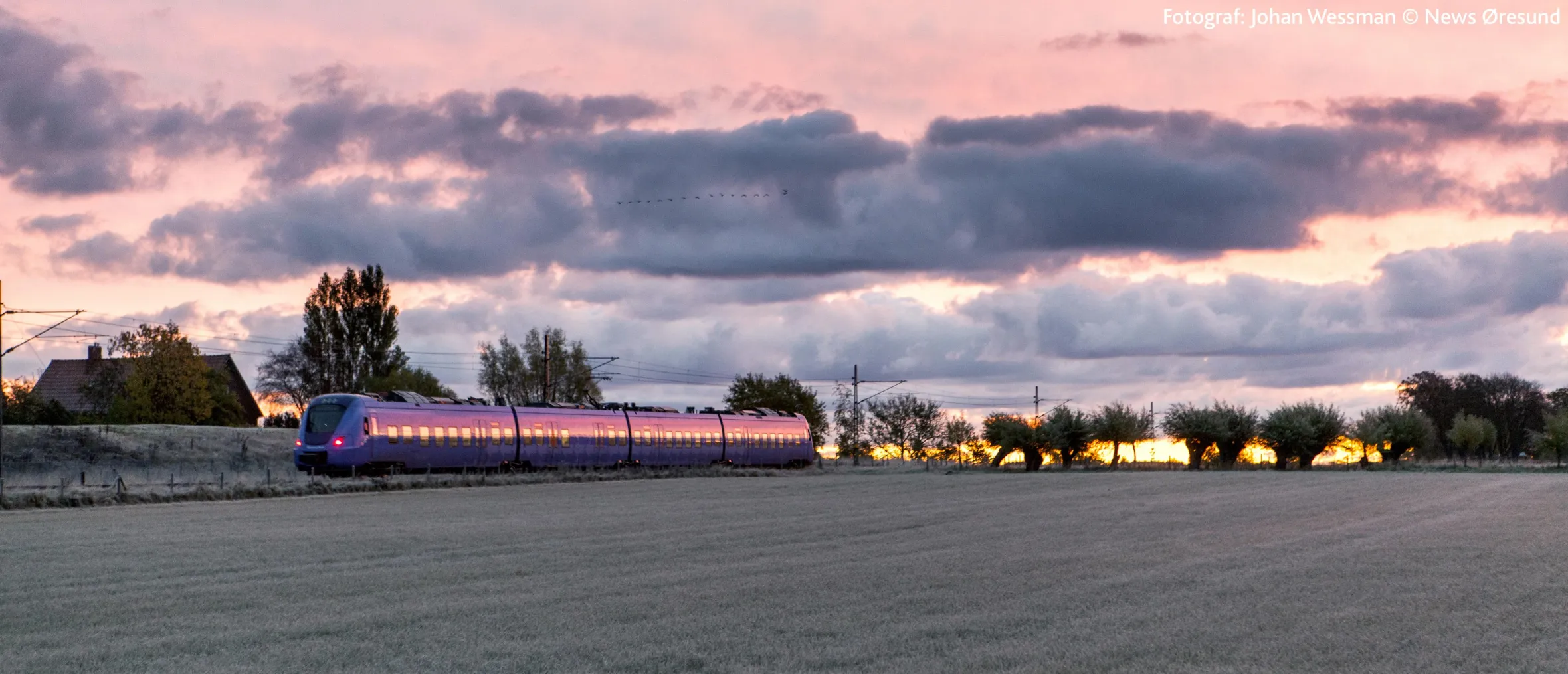 A Purple train passing by fields at dawn