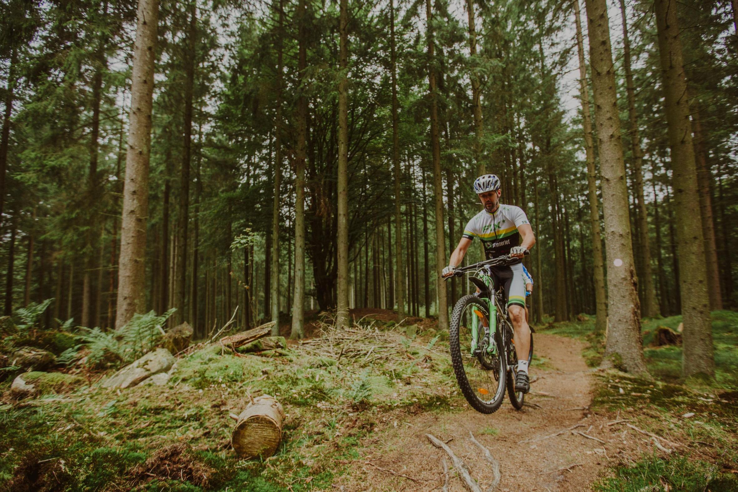 Mountainbiker cycling in a forest