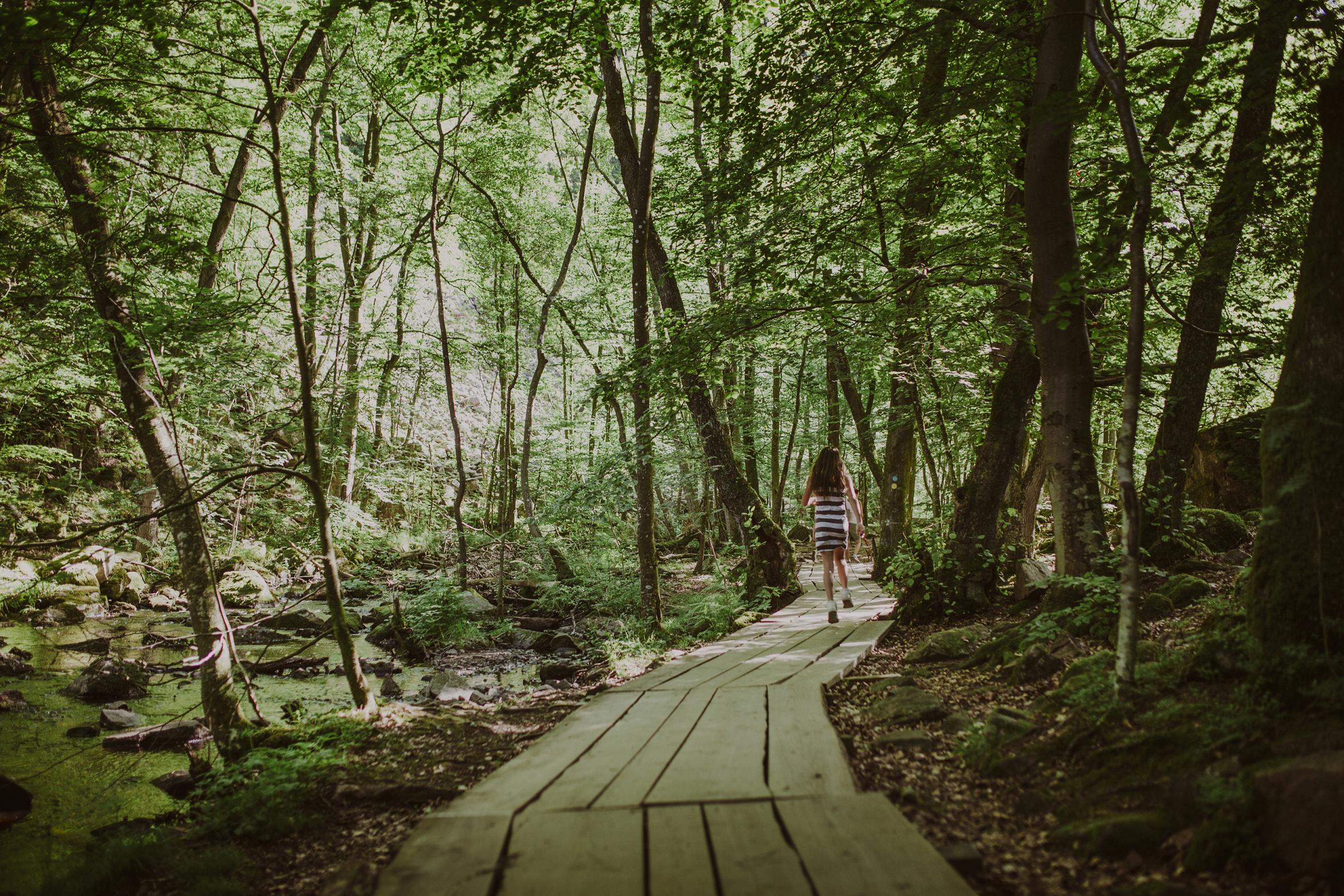 Ein Mädchen in einem gestreiften Kleid geht in einem Naturschutzgebiet über einen Weg aus Holzbohlen.