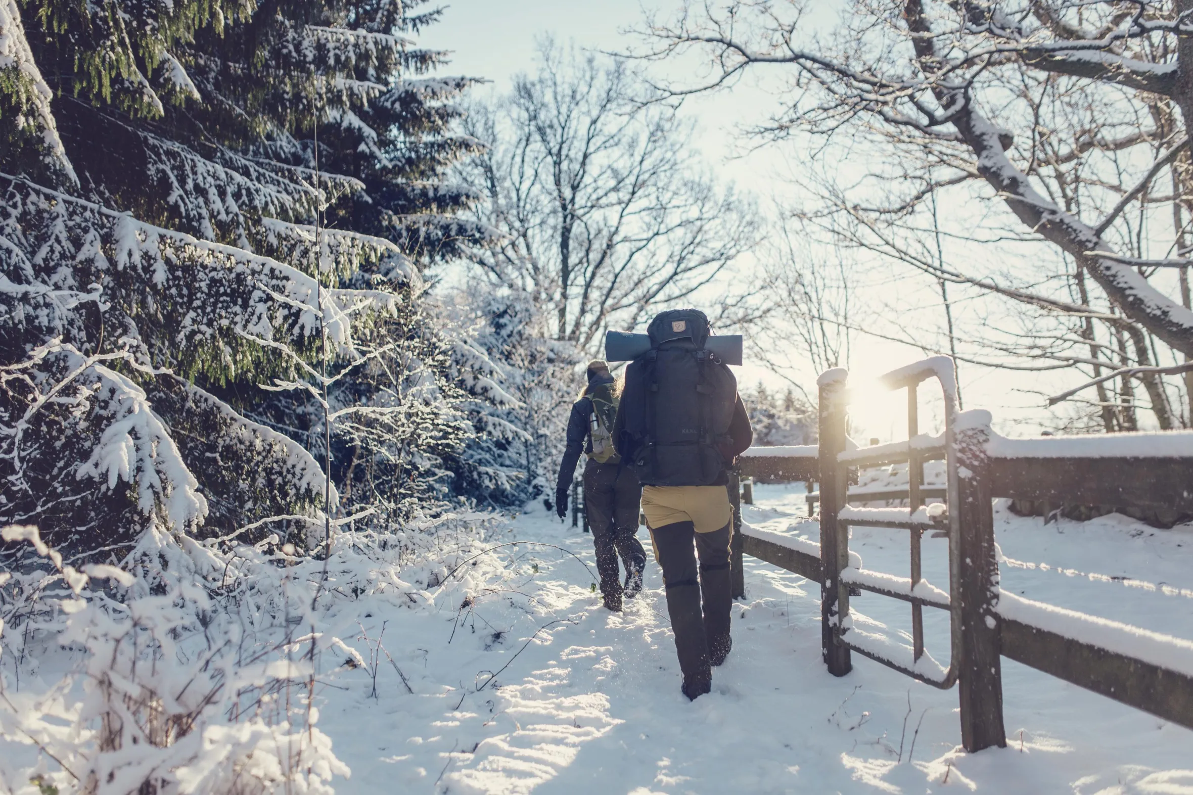 Two hikers walking in the snow at Söderåsen national park 