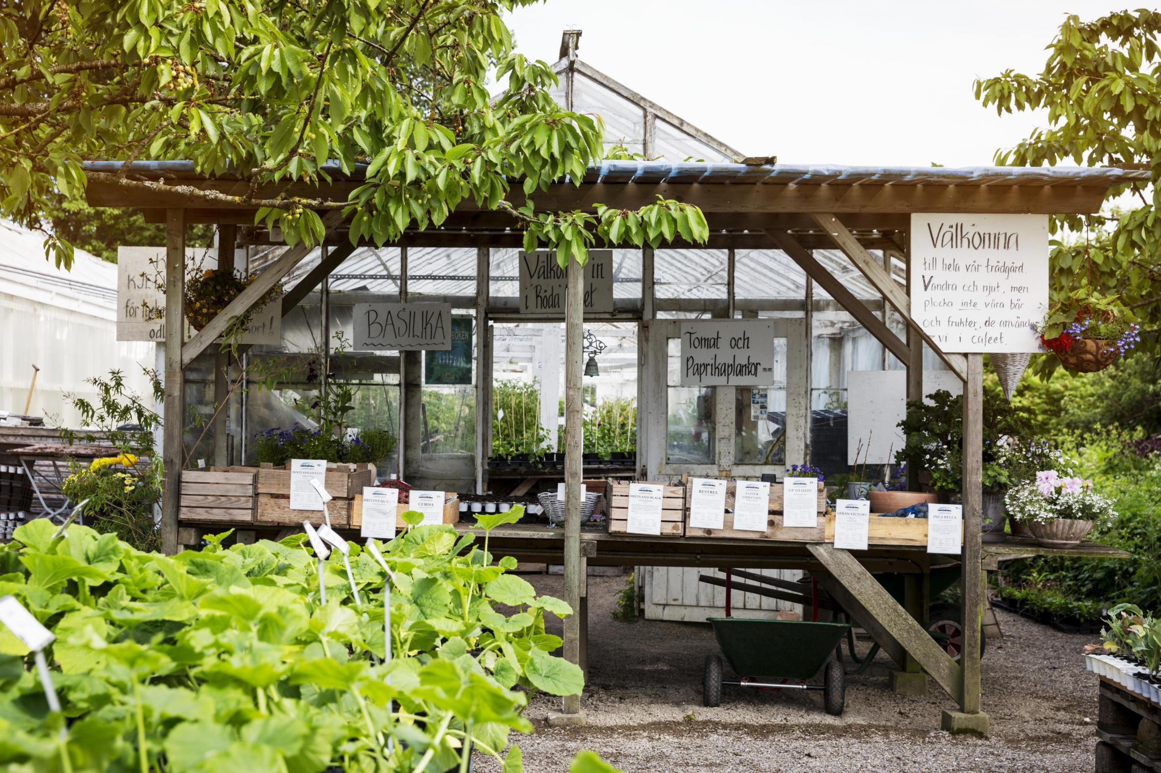 En trädgård med ett växthus med försäljning av grönsaker och kryddor