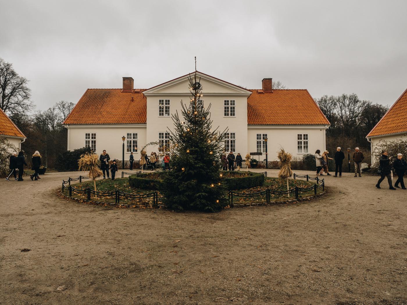 White manor with a big Christmas tree in front