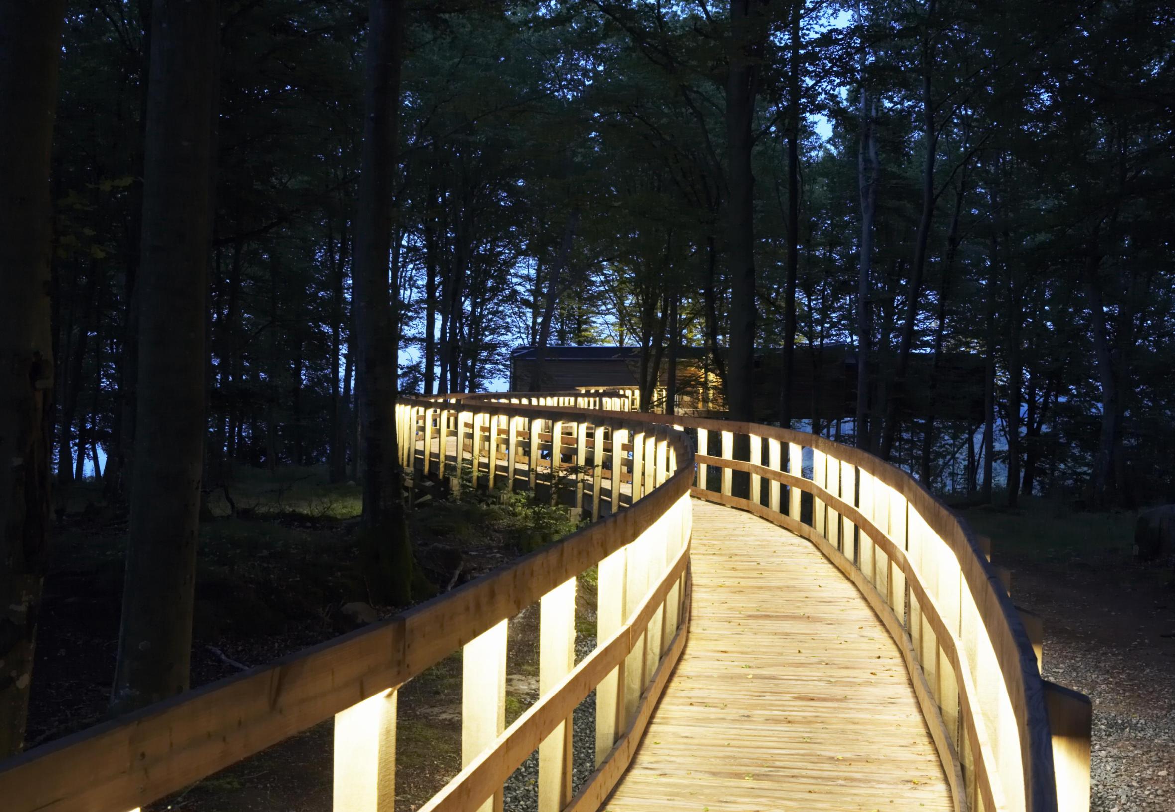 Wooden walkway extending to elevated timber building nestled among surrounding trees