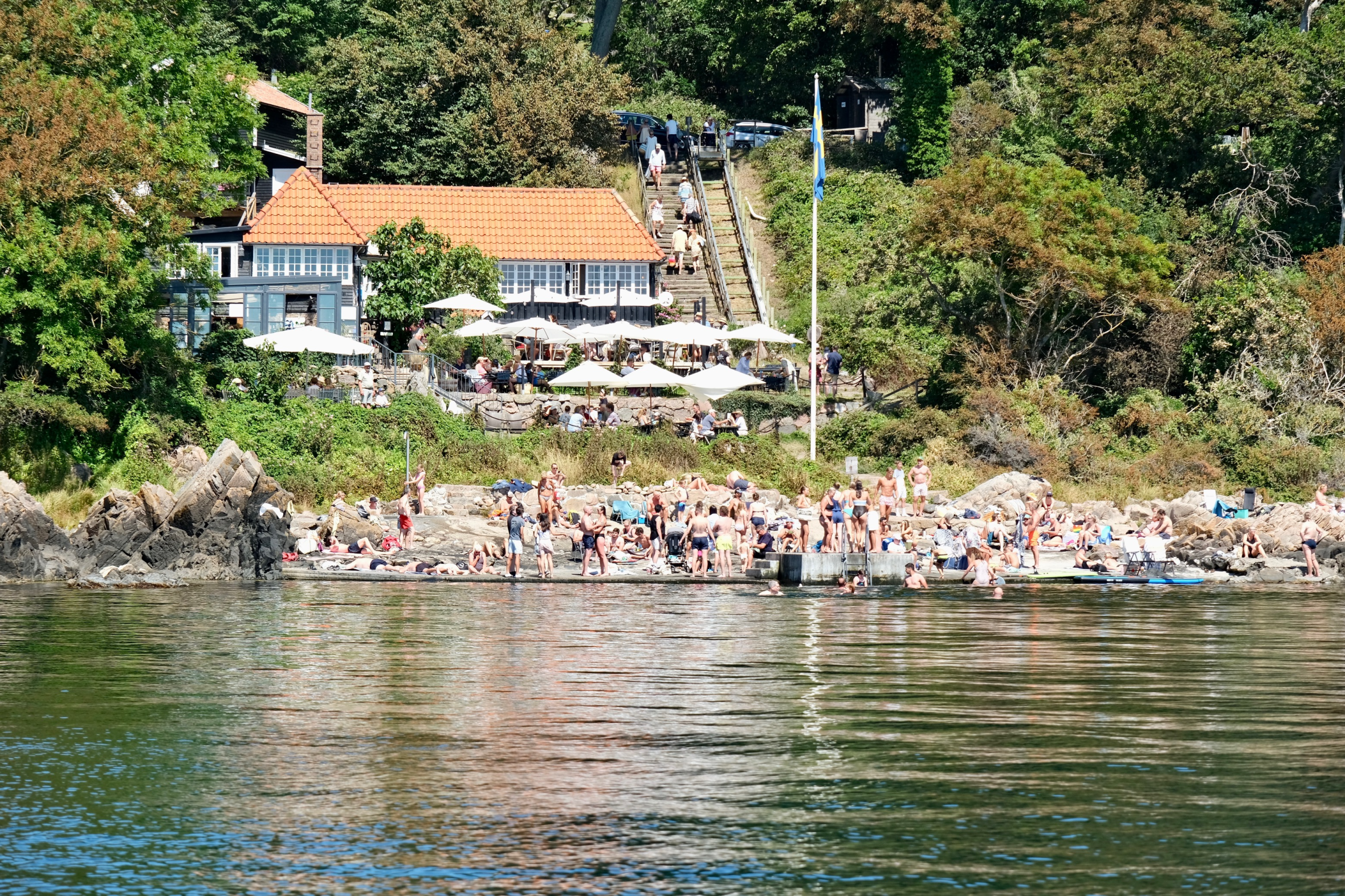 Vacker villa med grönska runtom och hav i förgrunden