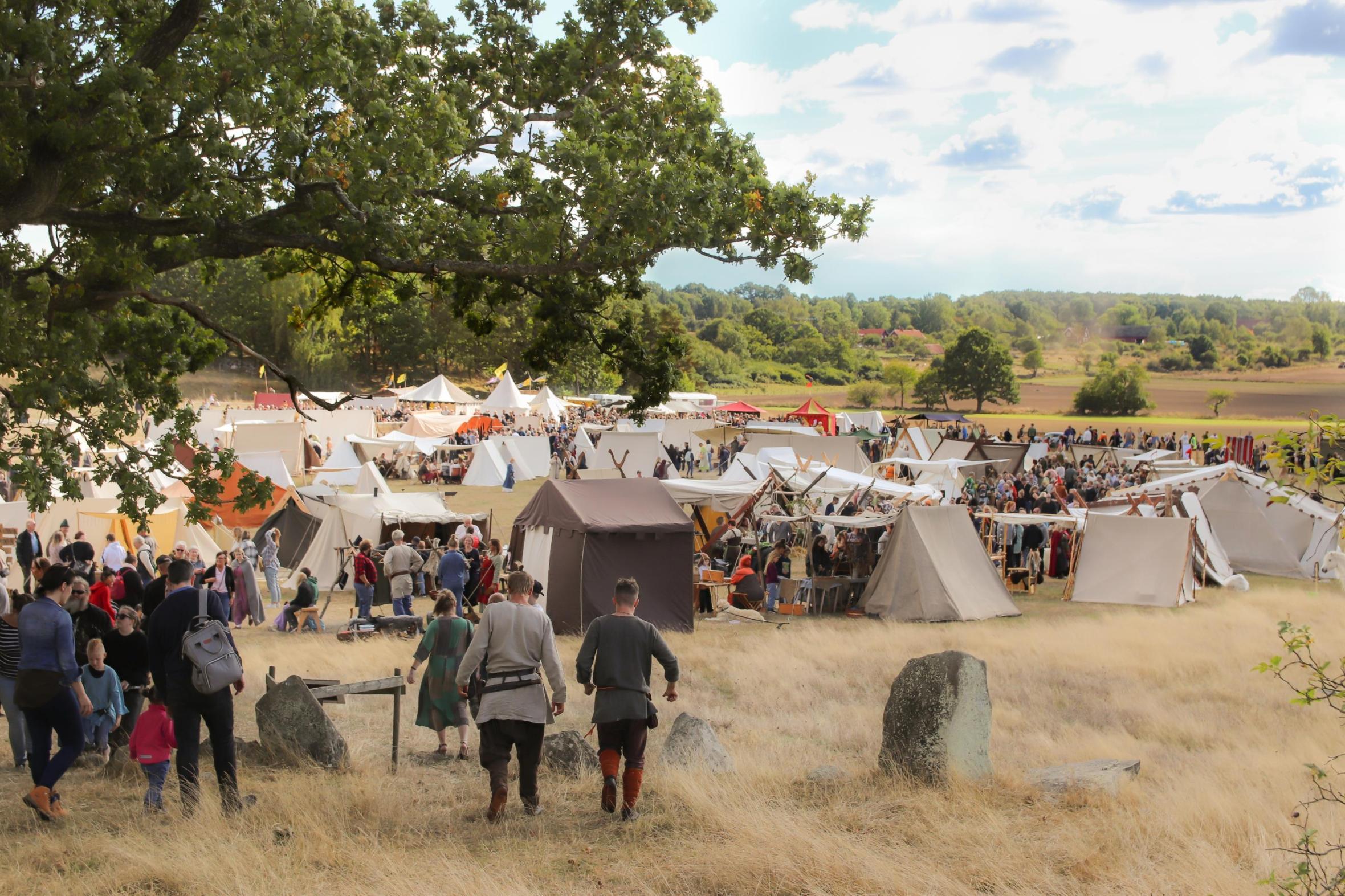 Viking market with tents and people spread across a field