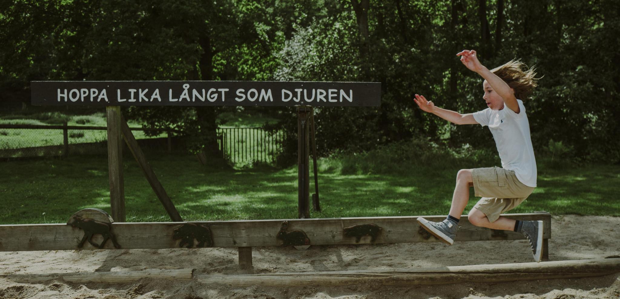 A child jumps long jump at Skånes djurpark