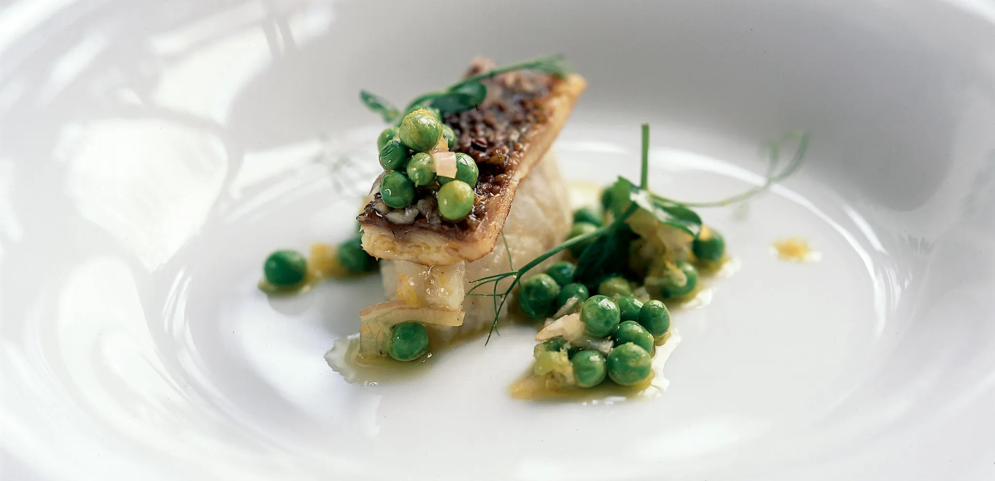 Eel dish from Skåne