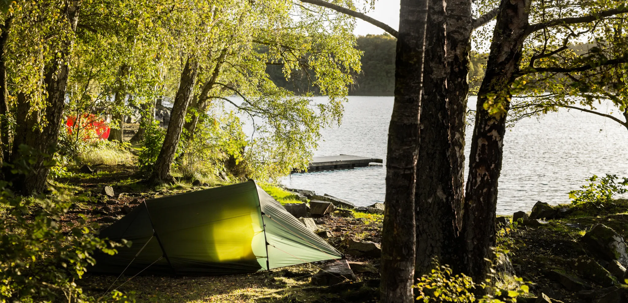 A green tent in the forest facing lake Immeln