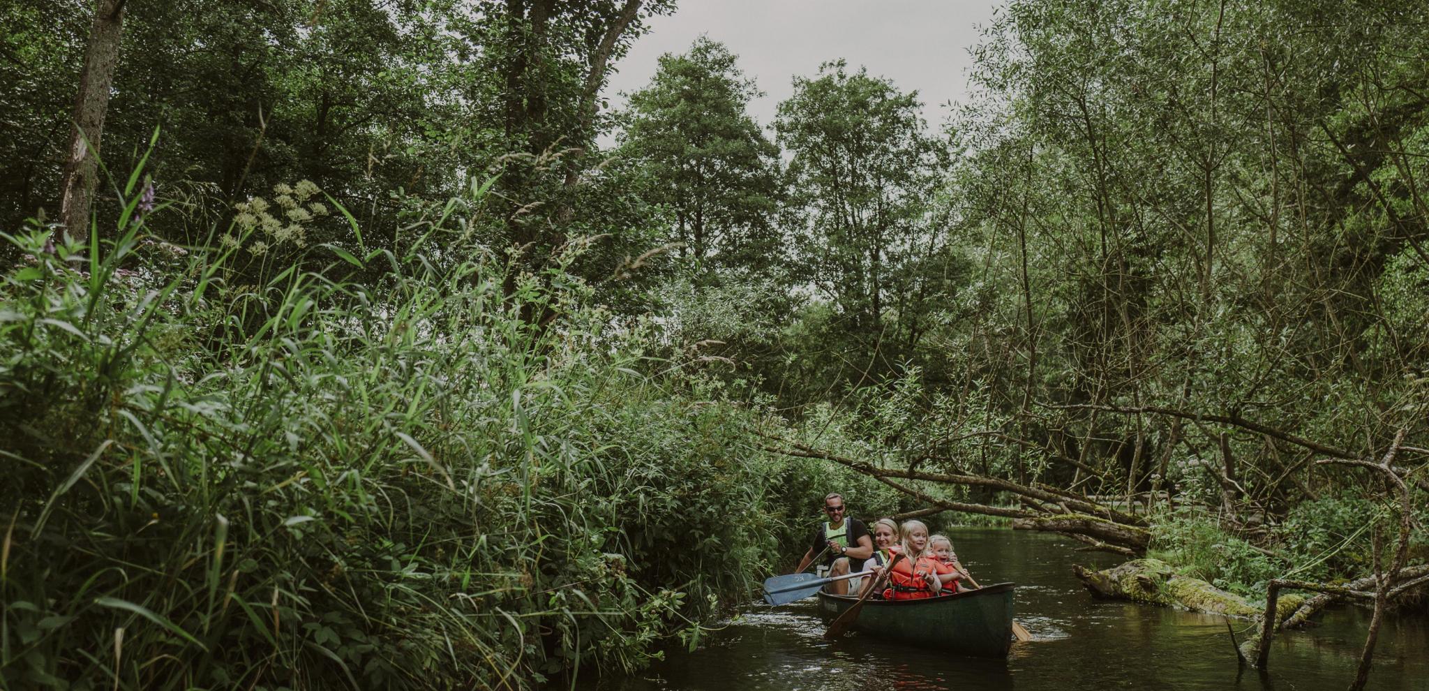 A family canoeing through a stream surrounded by lush greenery at Rönne Å