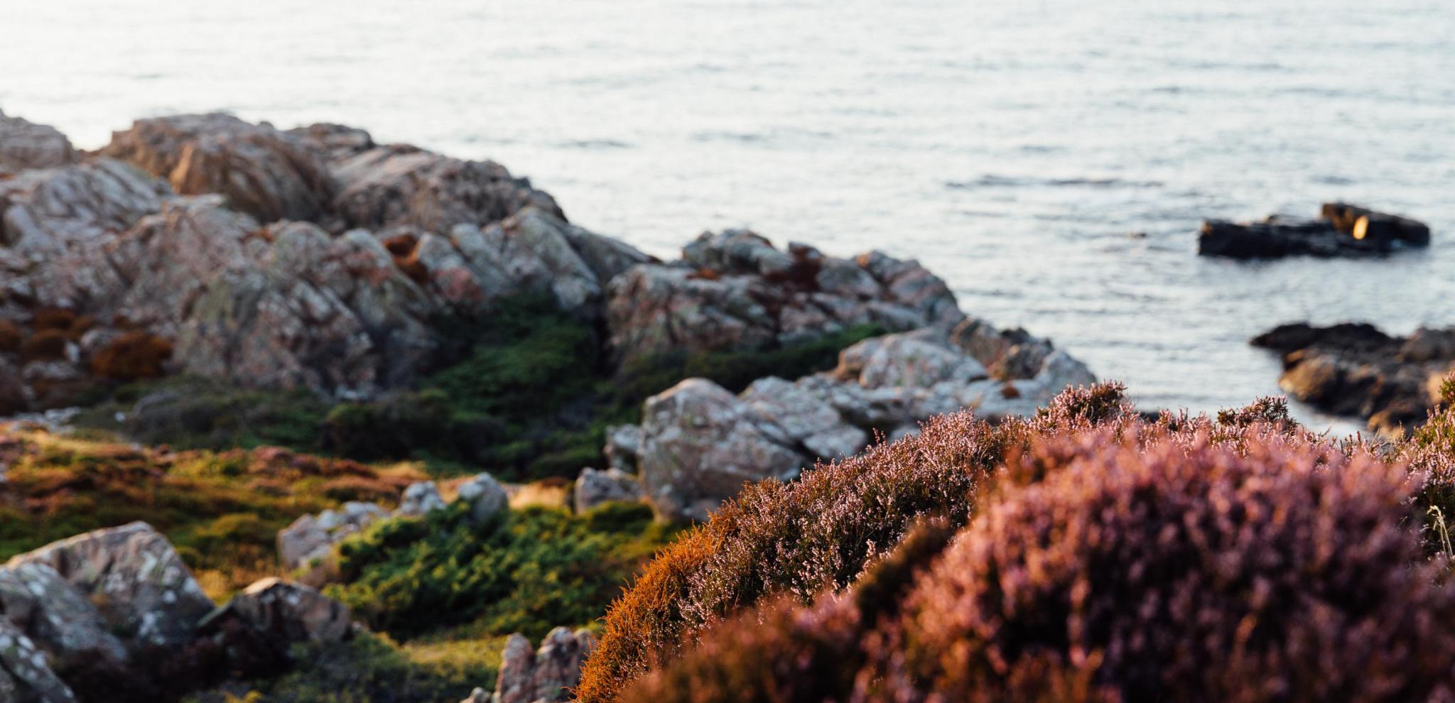 Utsikt över klipporna mot havet vid Kullaberg