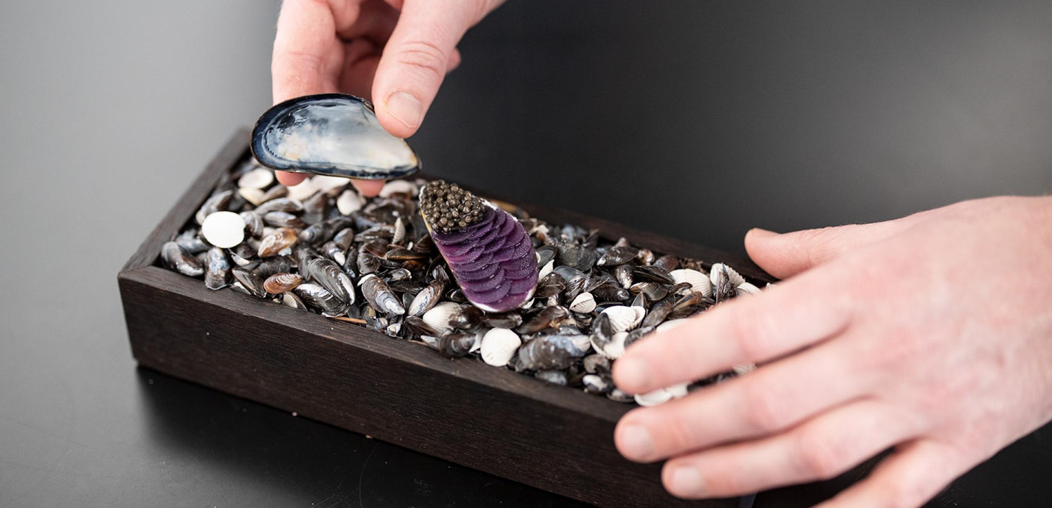Hands organizing food dish on rectangular box plate