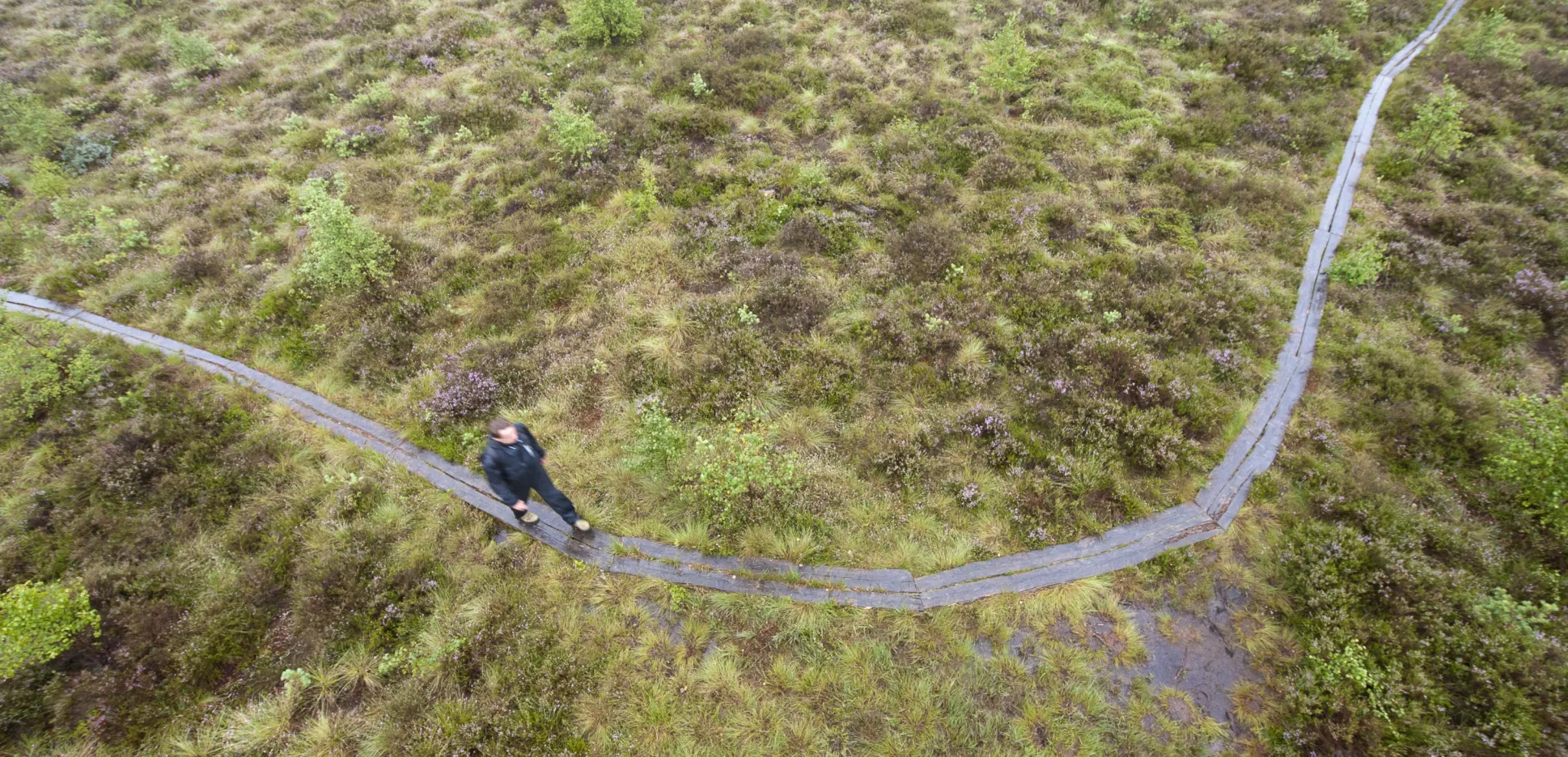 Vy ovanifrån av en man som vandrar längs en stig på Djurholmen