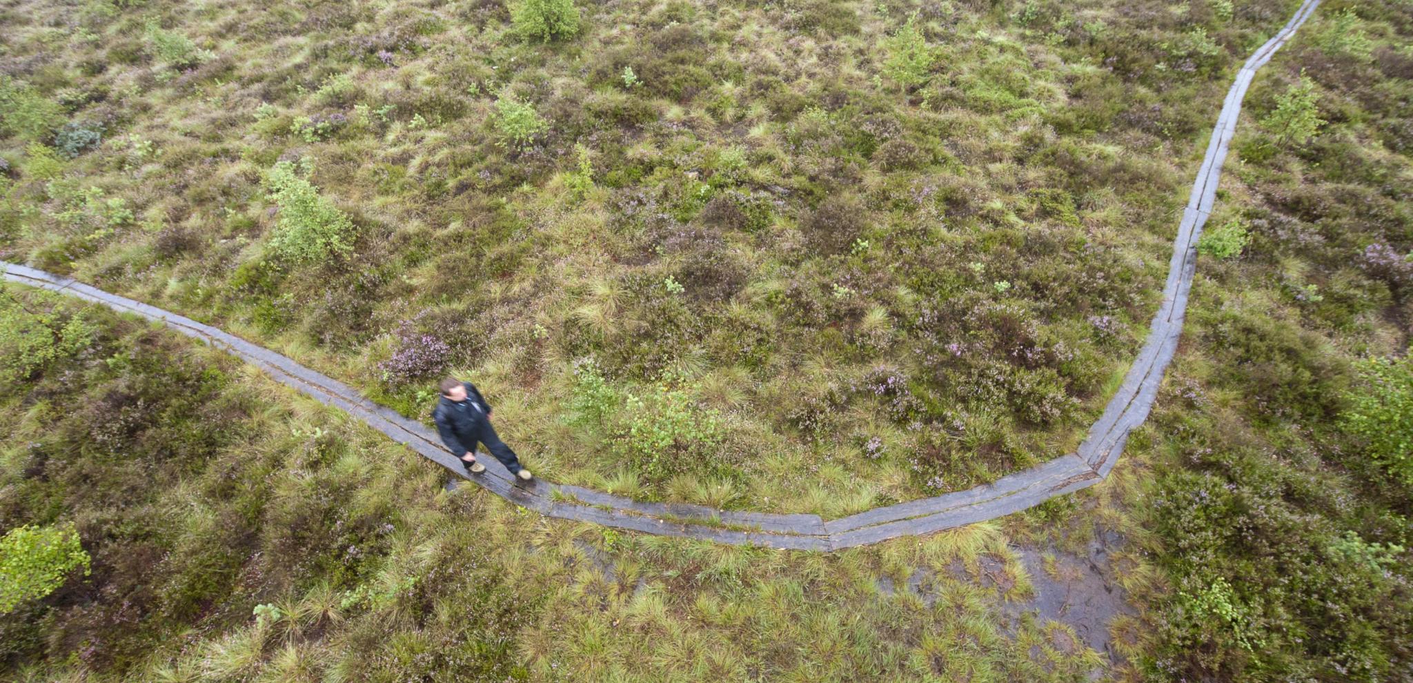 Vy ovanifrån av en man som vandrar längs en stig på Djurholmen