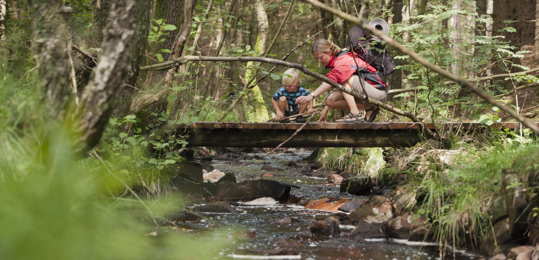 En mamma står tillsammans med sitt barn på en liten bro över en bäck i skogen och tittar på vattnet