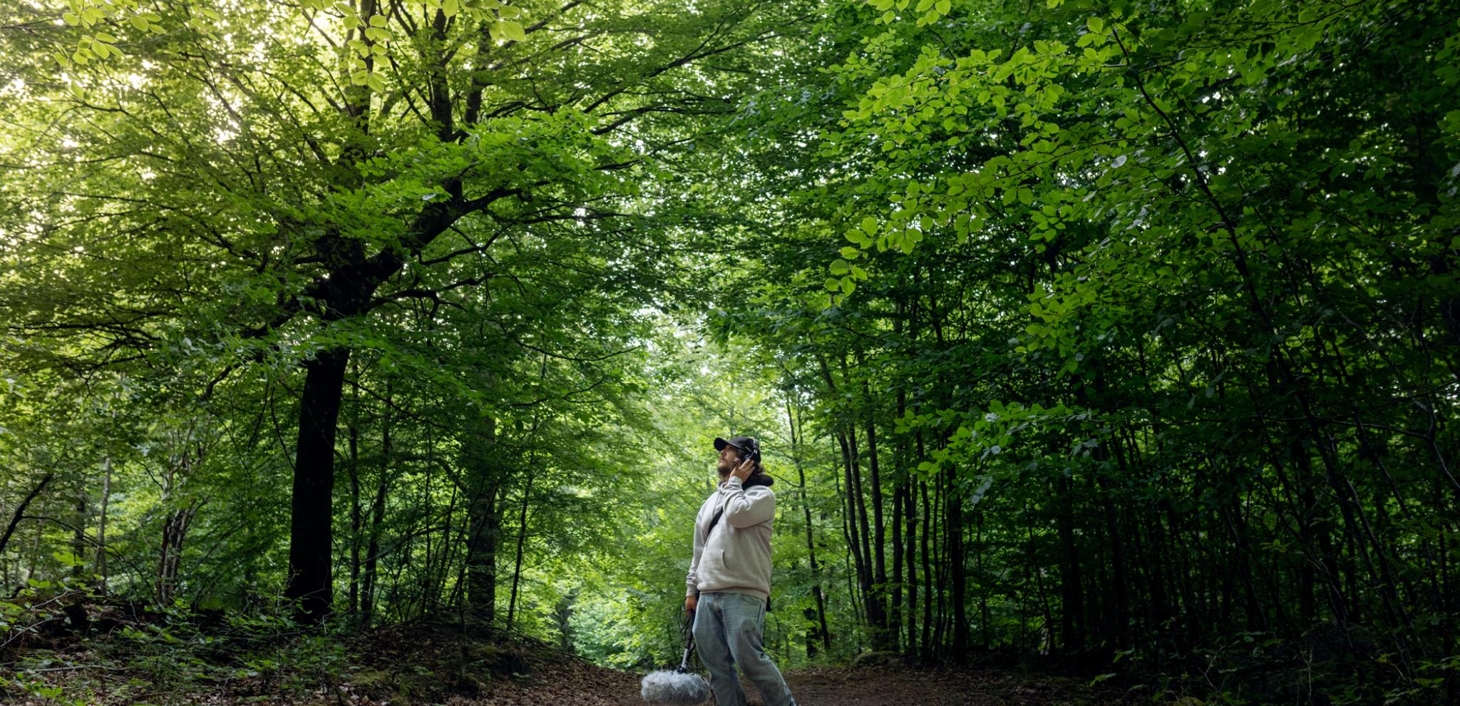 Sound technician in forrest