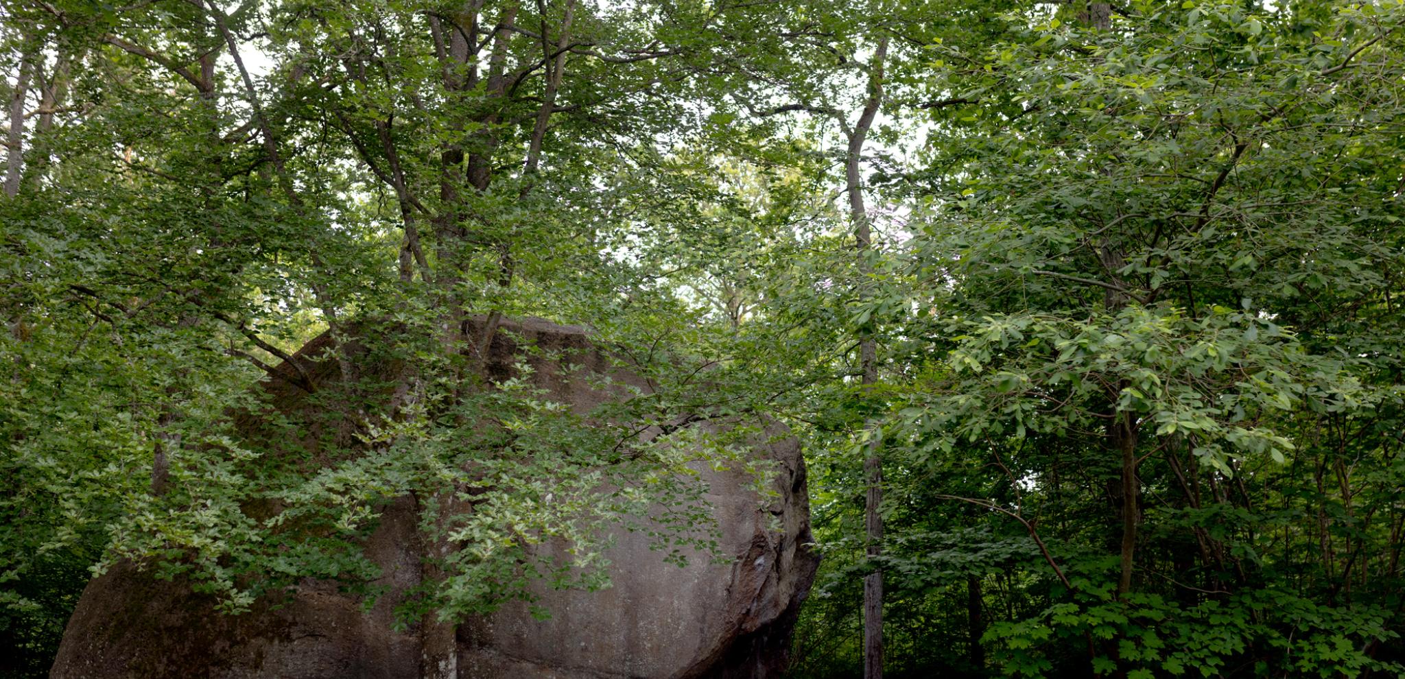 Big rock in Kjugekull Nature Reserve