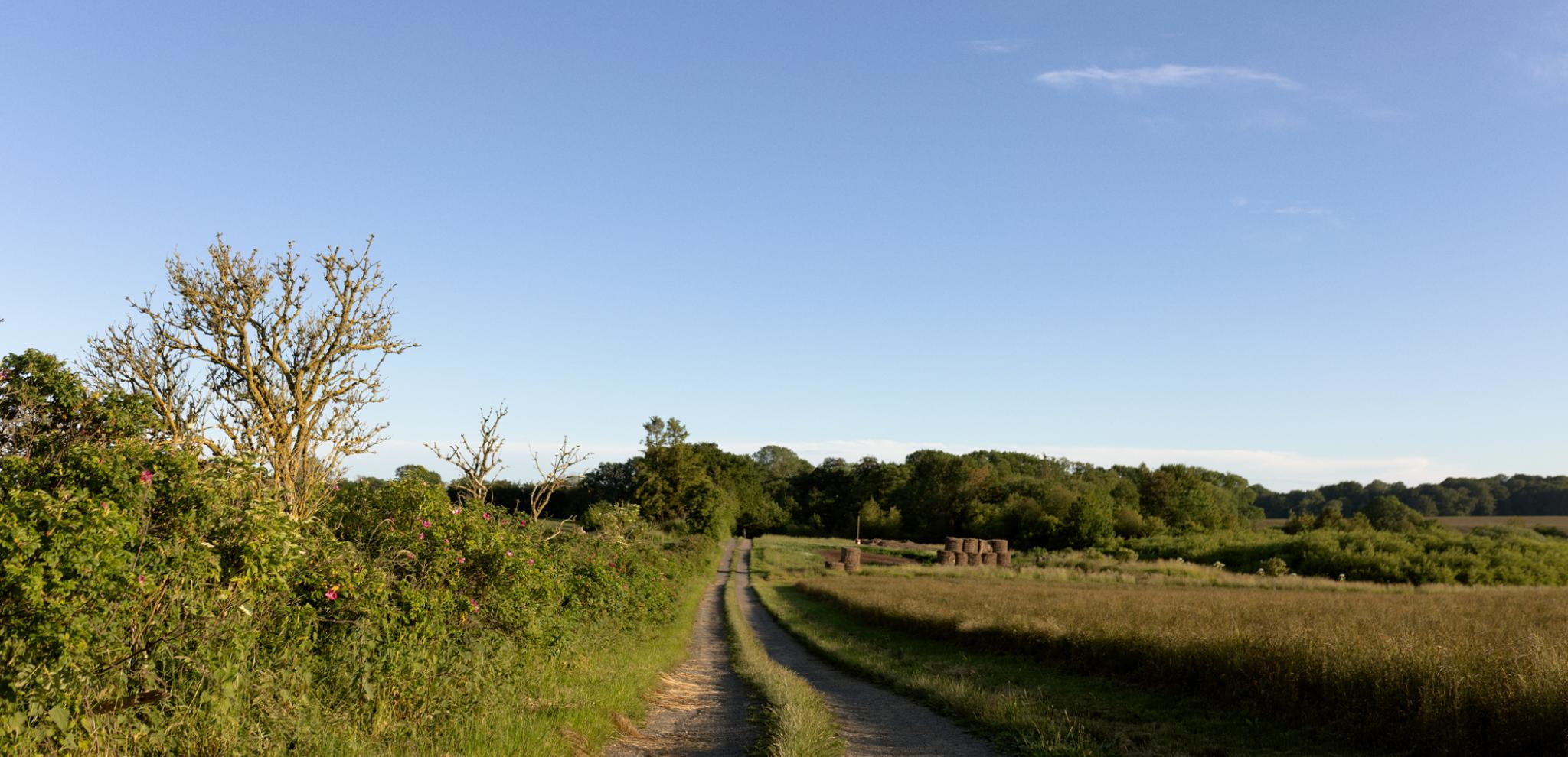 Walking path around Krageholmsjön