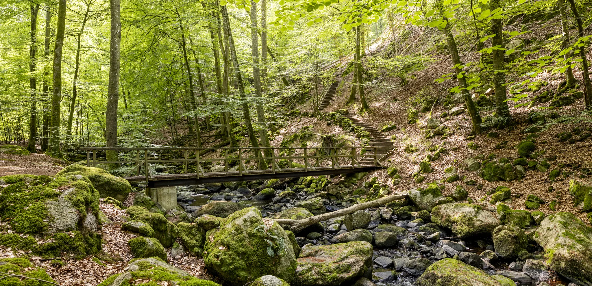nature in Åbjär