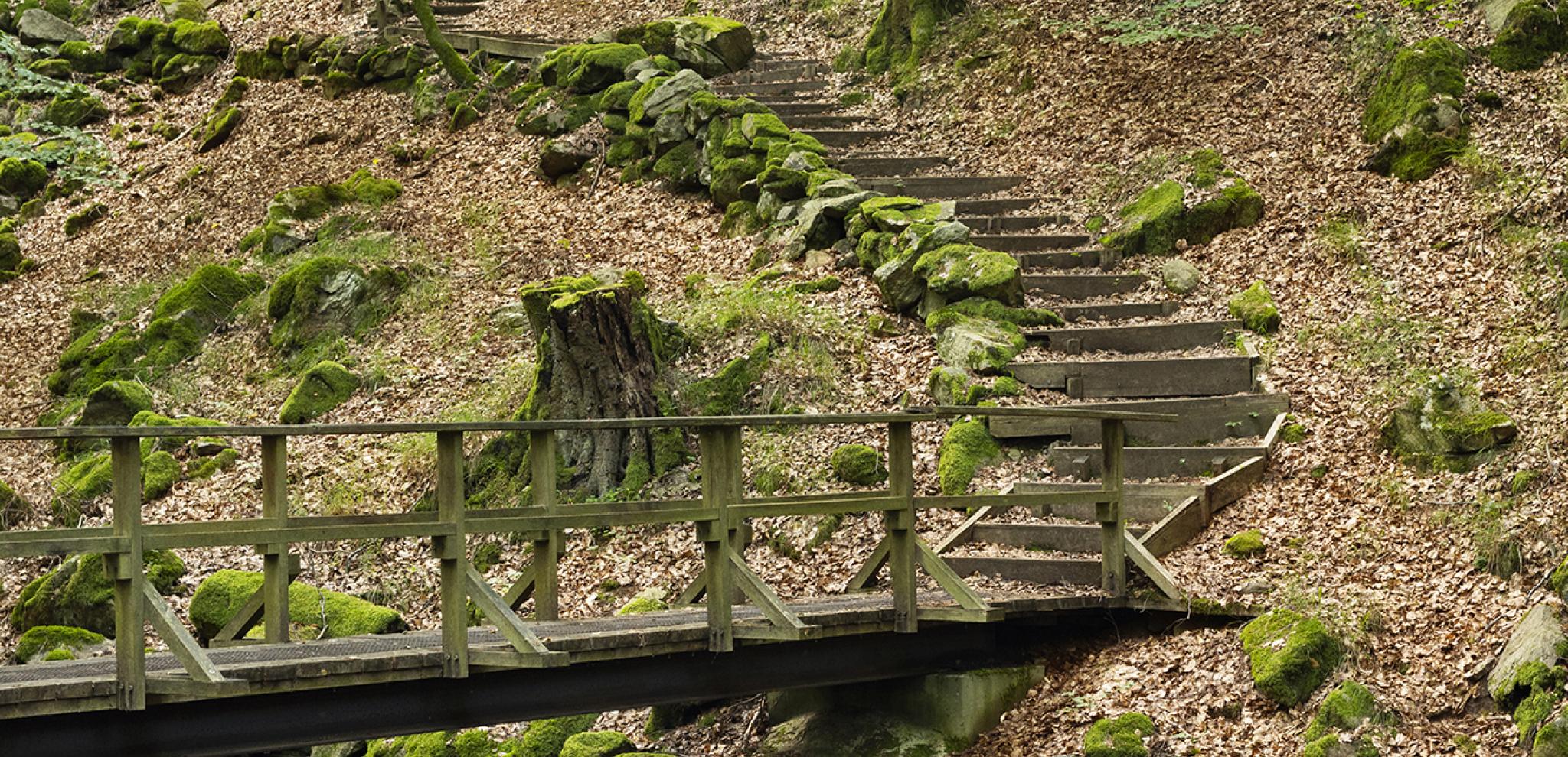 Stairs in the woods in Åbjär