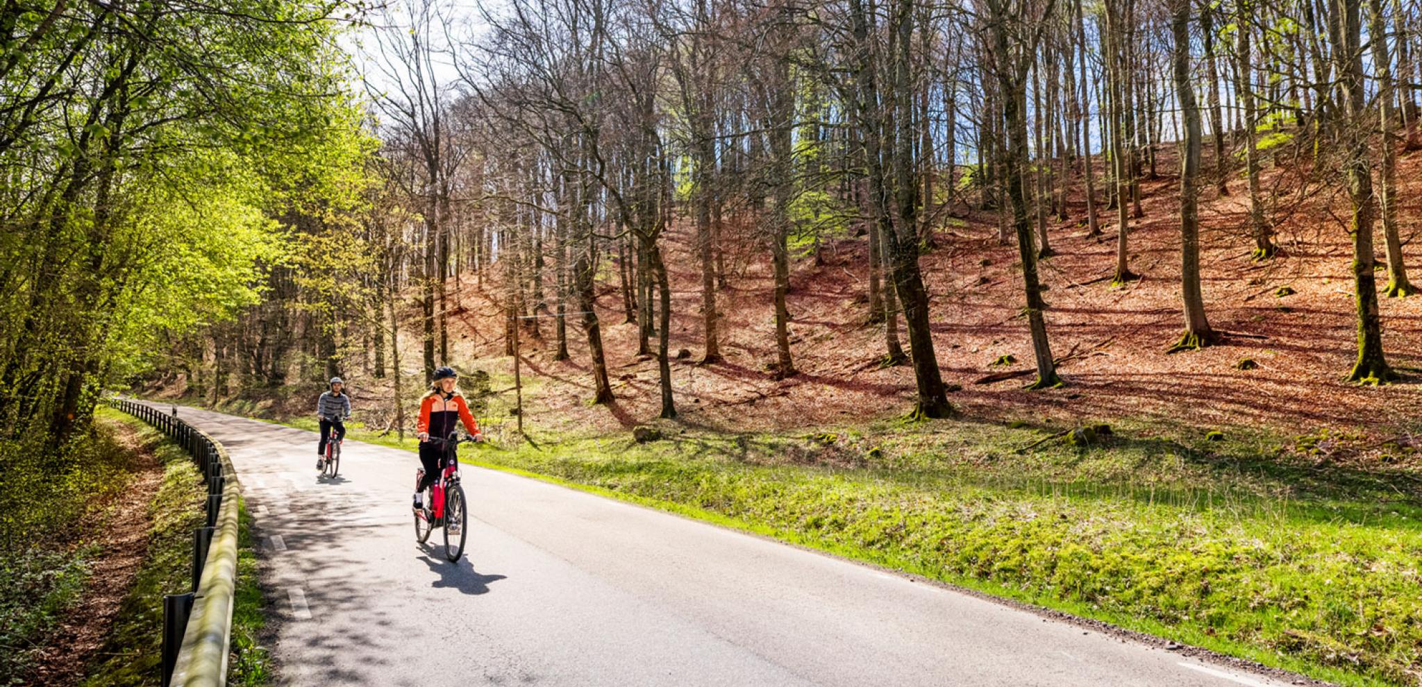 Two cyclists riding along a winding paved path through a spring forest with budding trees on a hillside