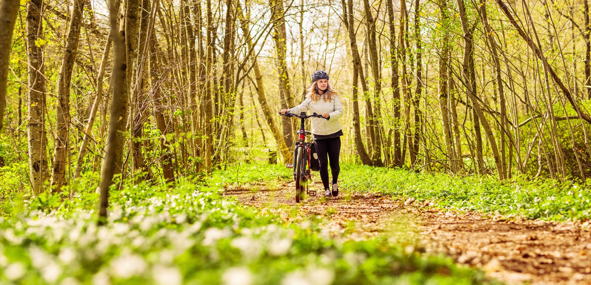 Woman walks with bicycle on forest path surrounded by spring trees and blooming wood anemones. She wears helmet and smiles while exploring