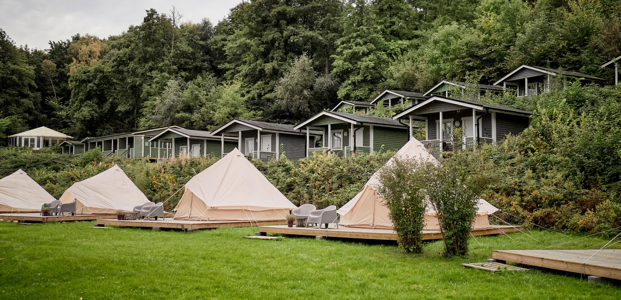 Glamping site with bell tents on wooden platforms in foreground and modern cabins on hillside, surrounded by dense forest and green lawn