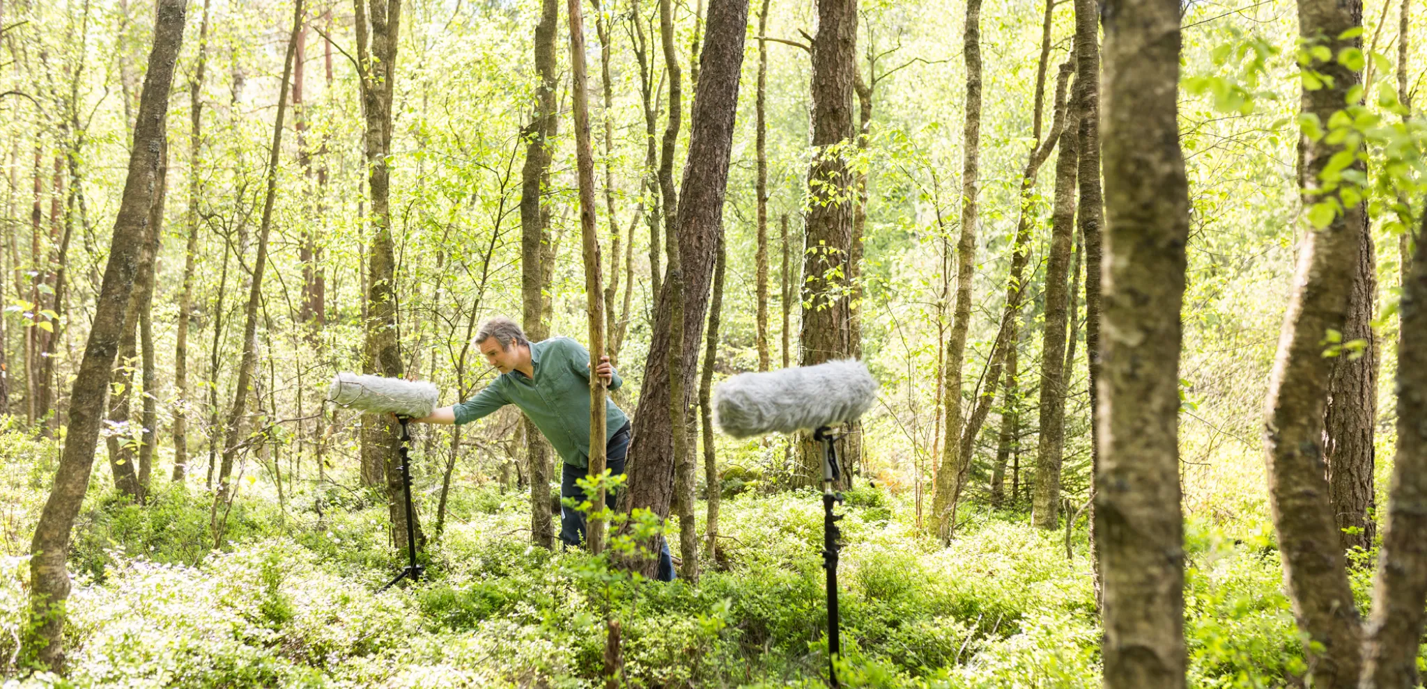A man standing in a forest holding a microphone.