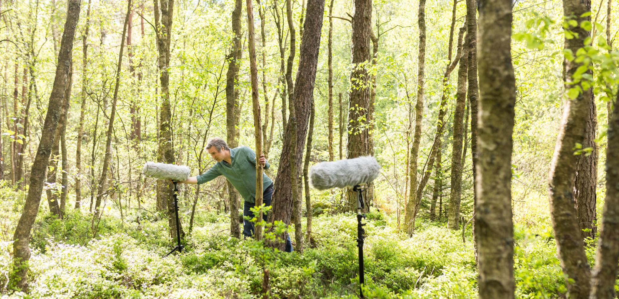 A man standing in a forest holding a microphone.