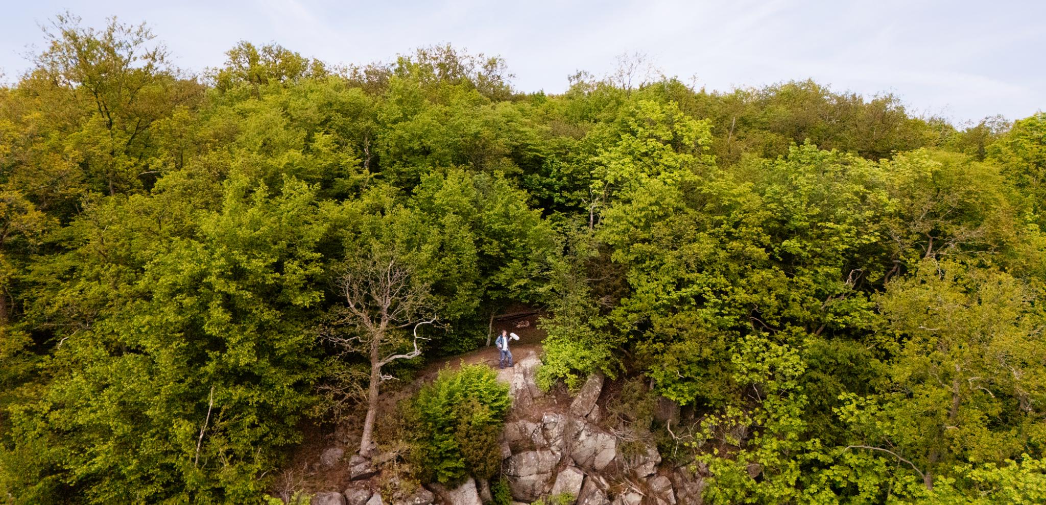 Sound guy standing on top of a lush green forest.