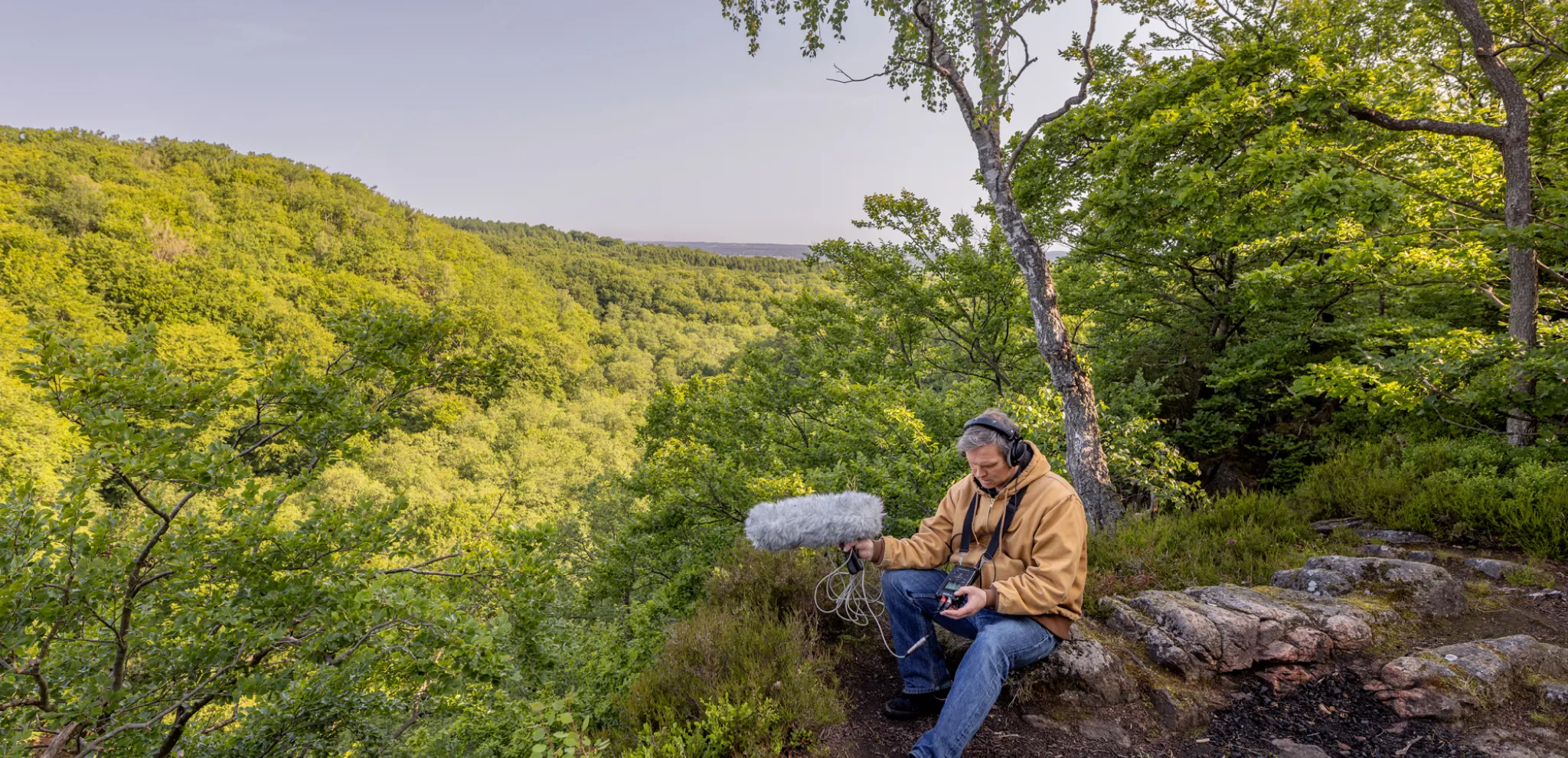 A man sitting on a rock in the middle of a forest.