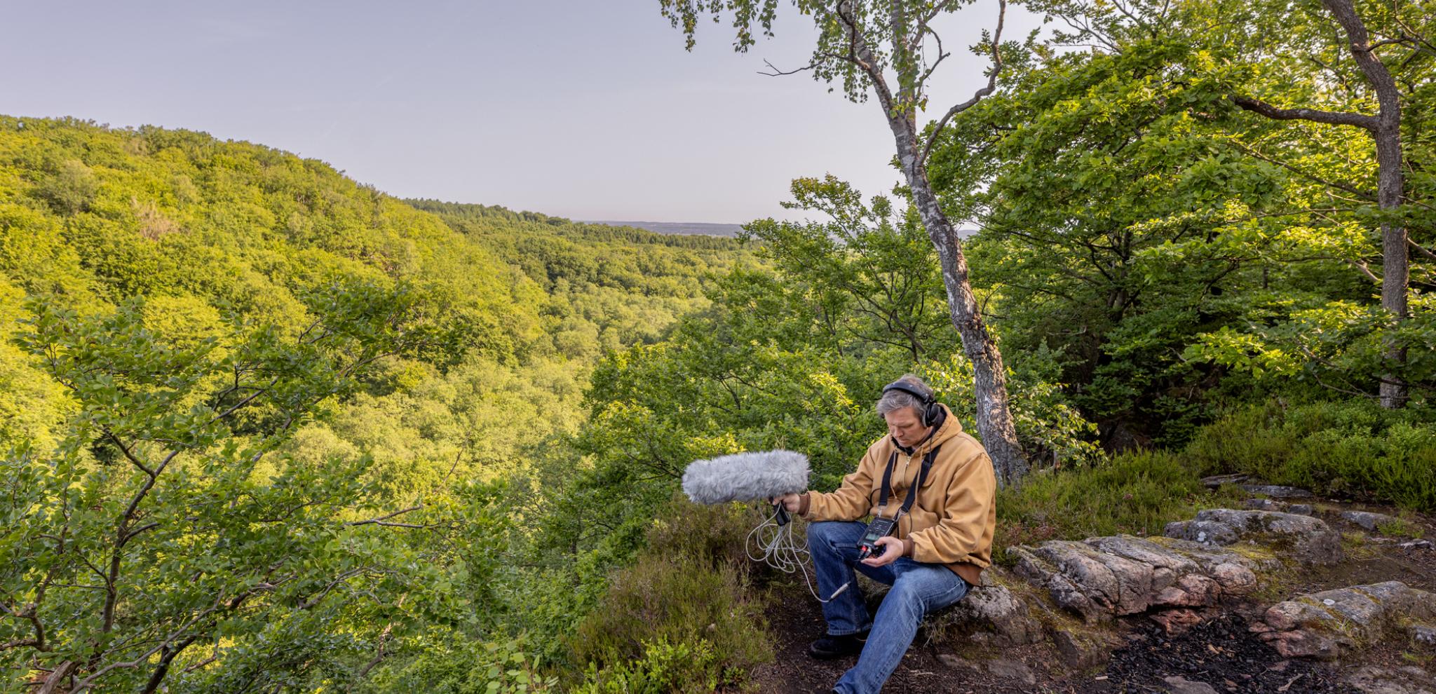 A man sitting on a rock in the middle of a forest.