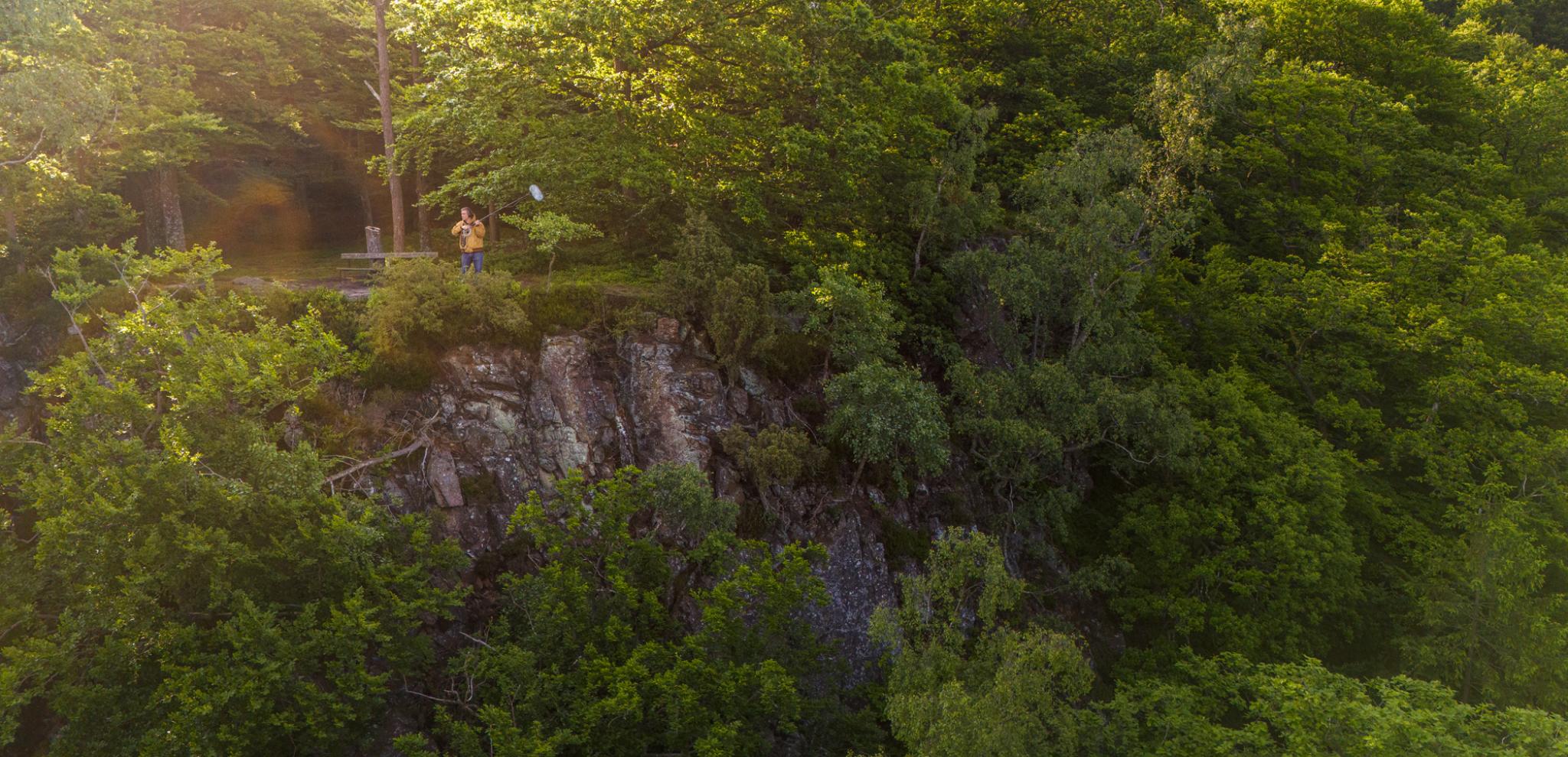 A person standing on top of a cliff surrounded by trees.
