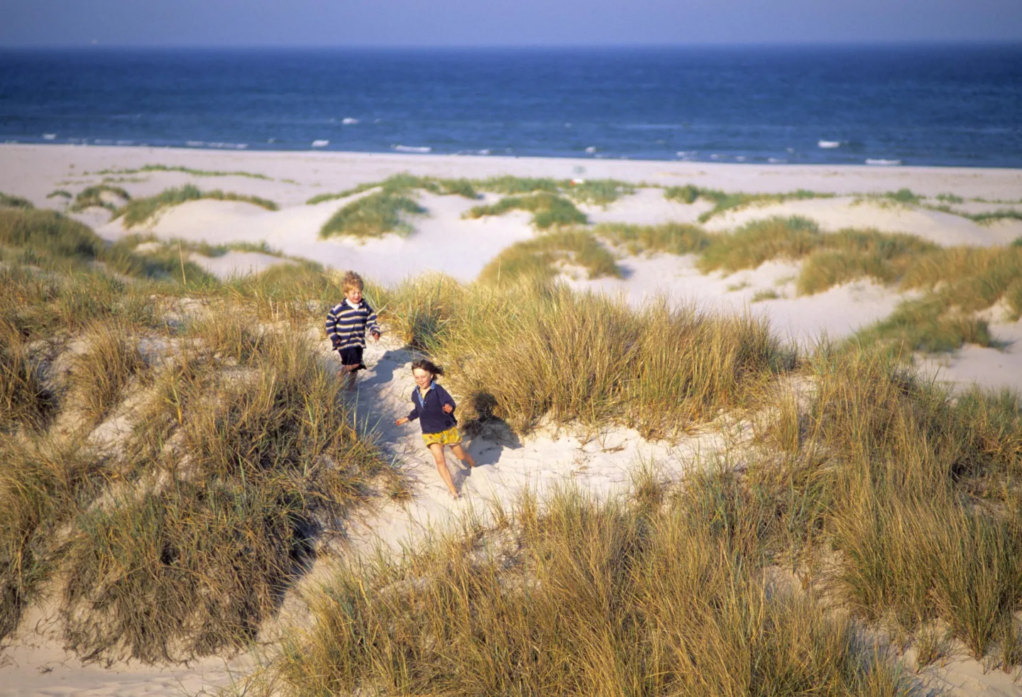 Zwei Kinder spielen auf den Dünen von Sandhammaren.
