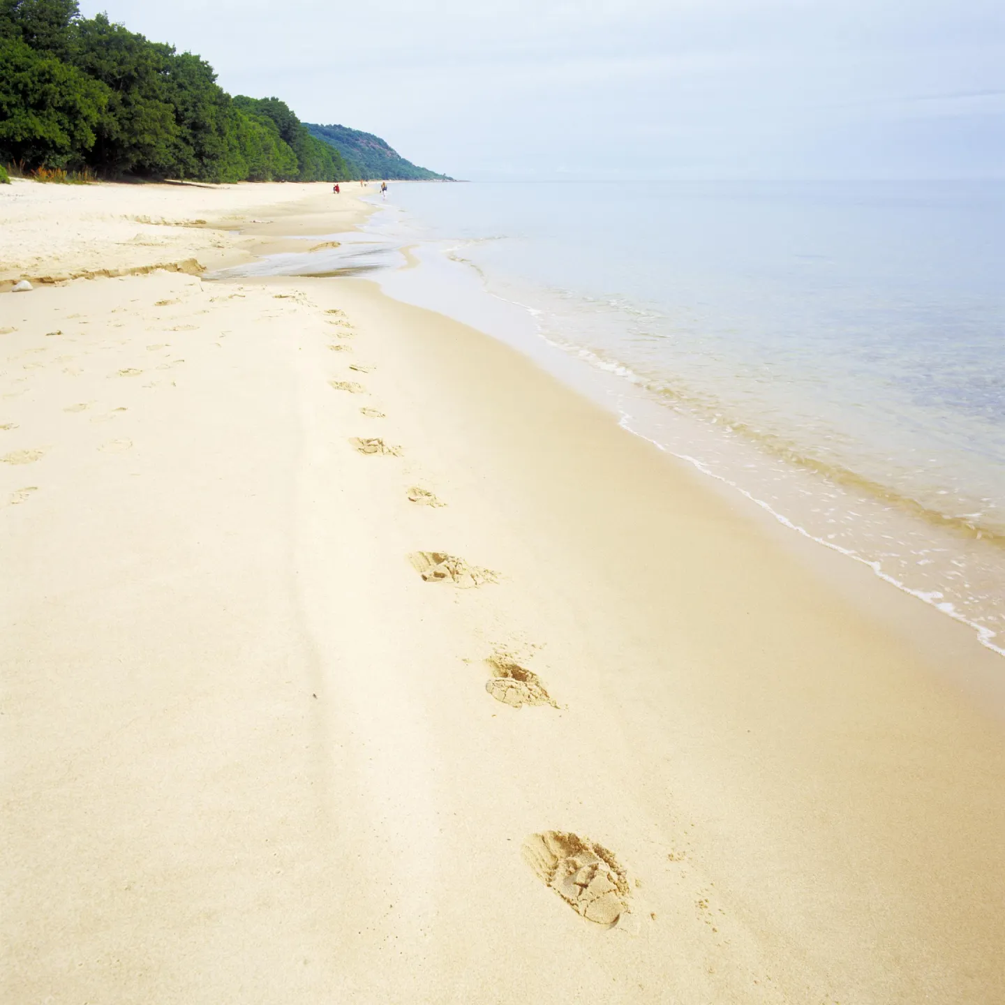 Footprints on the beach