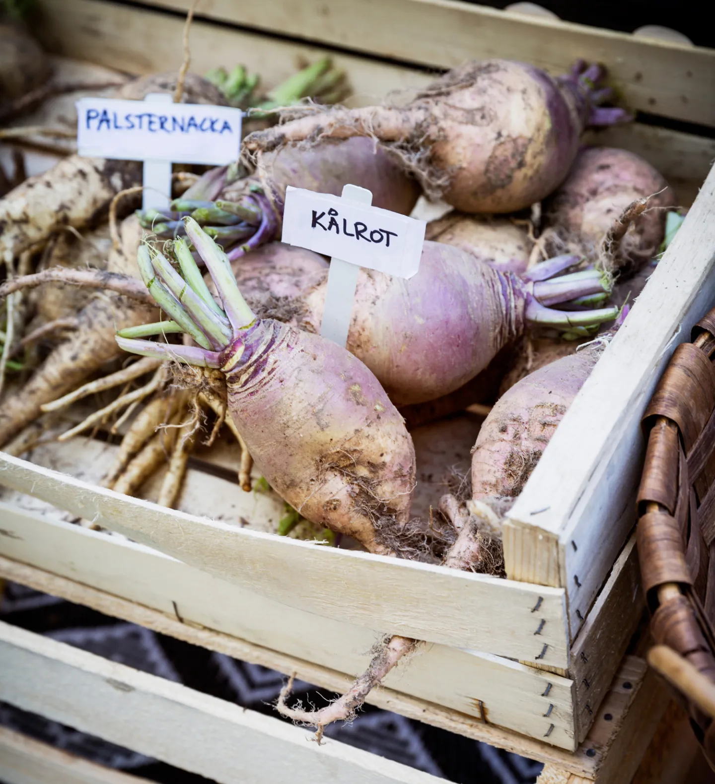Organic beetroot