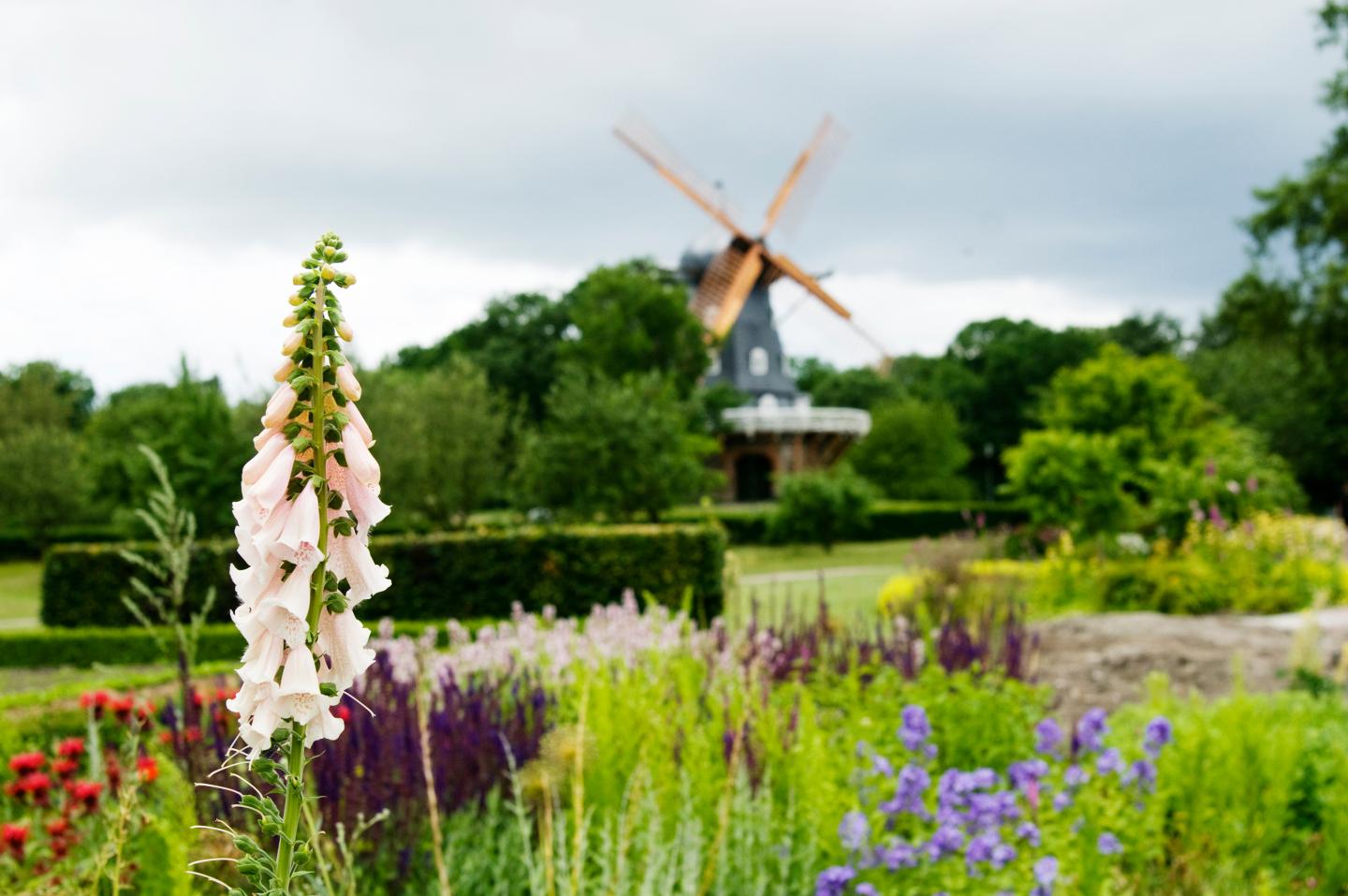par sexarbetare små i Malmö par sexarbetare små i Malmö