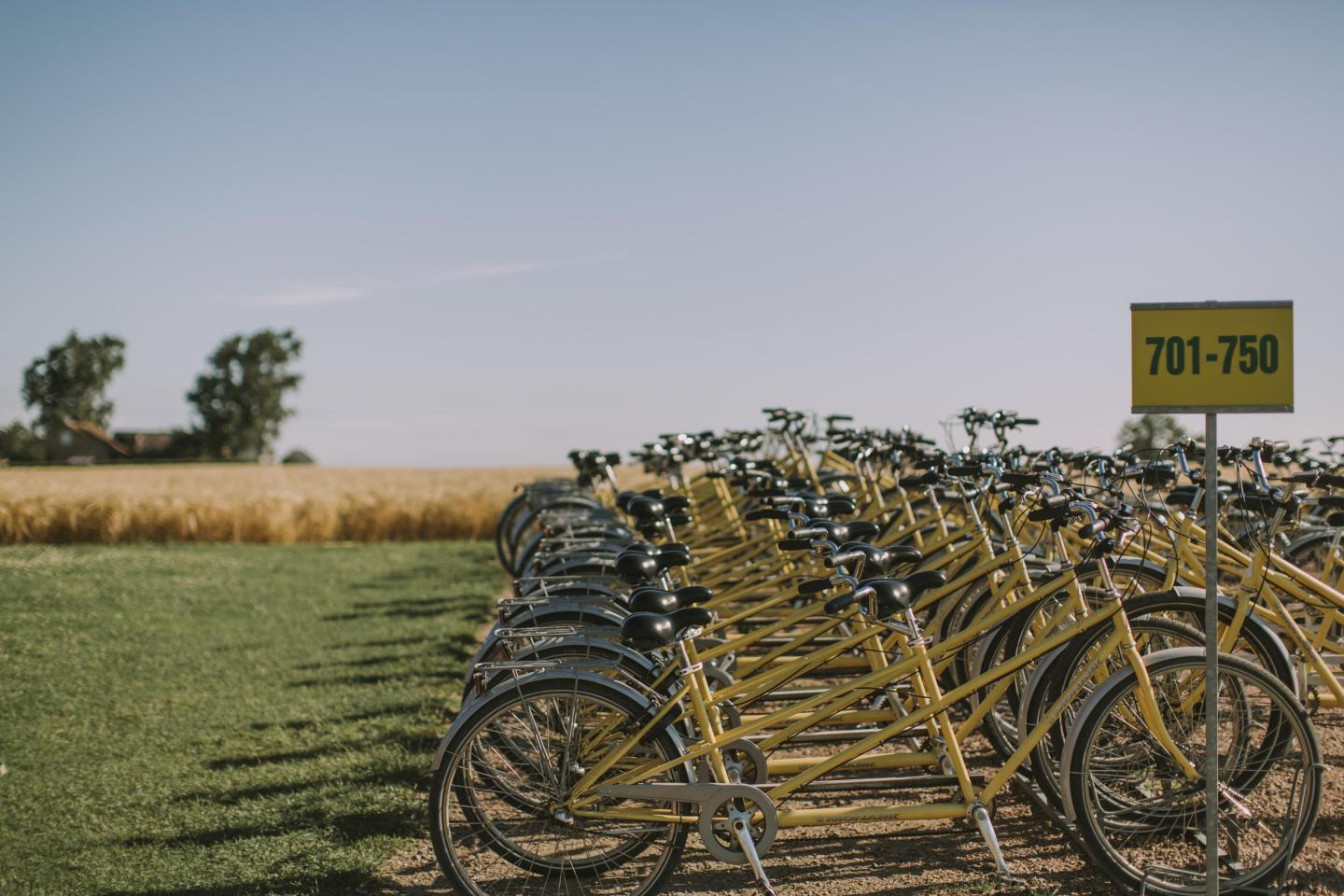 Rental bicycles lined up in docking station in the countryside