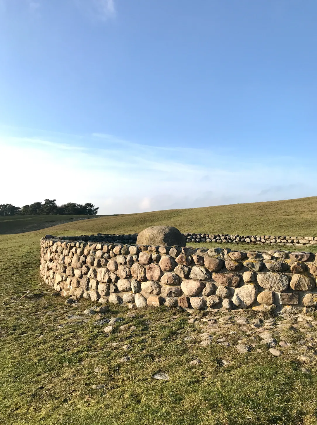 Eine geschwungene Steinmauer auf einem Feld in Backåkra