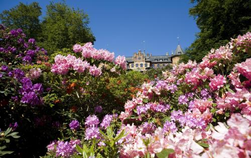 Sofiero castle and garden