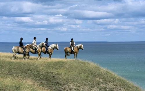 Four people on horses on a hill overlooking the sea
