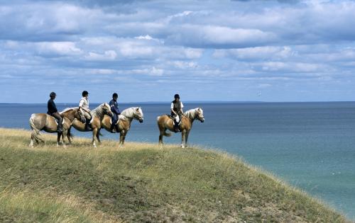 Four horse riders by the sea
