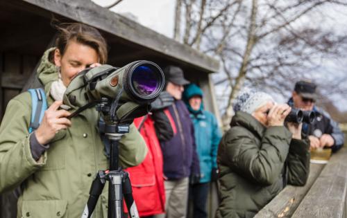 Birdwatchers in Skåne