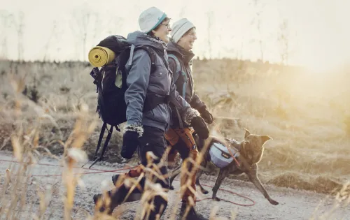 Spaziergang mit Hund