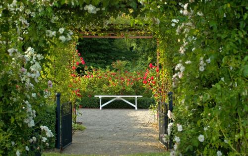 View over bench at Fredriksdal garden in Skåne