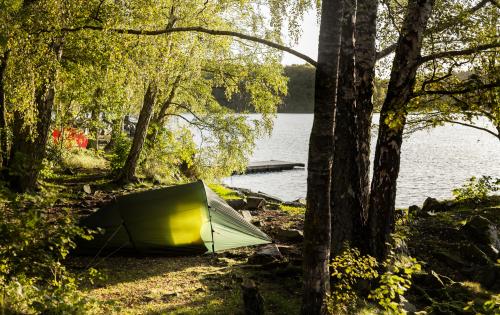 A green tent in the forest facing lake Immeln